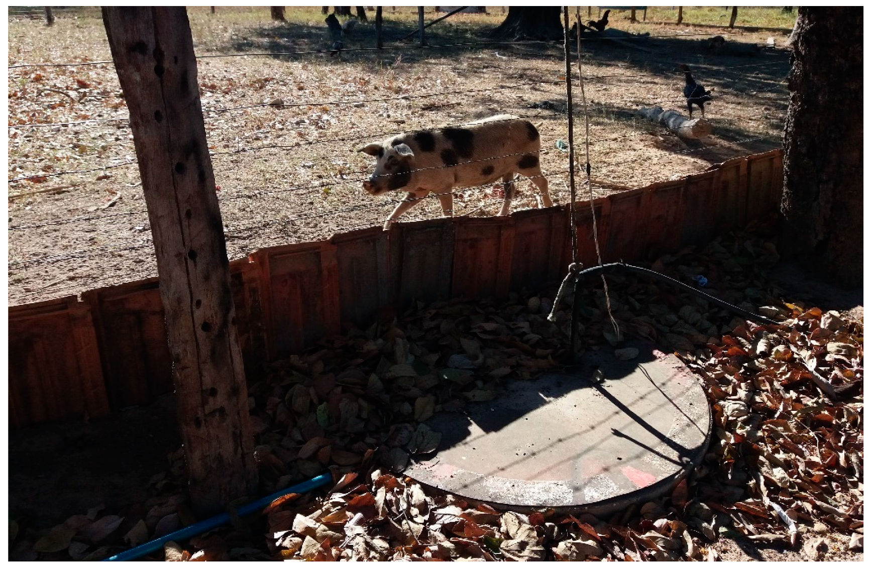 Sustainability 15 02408 g006