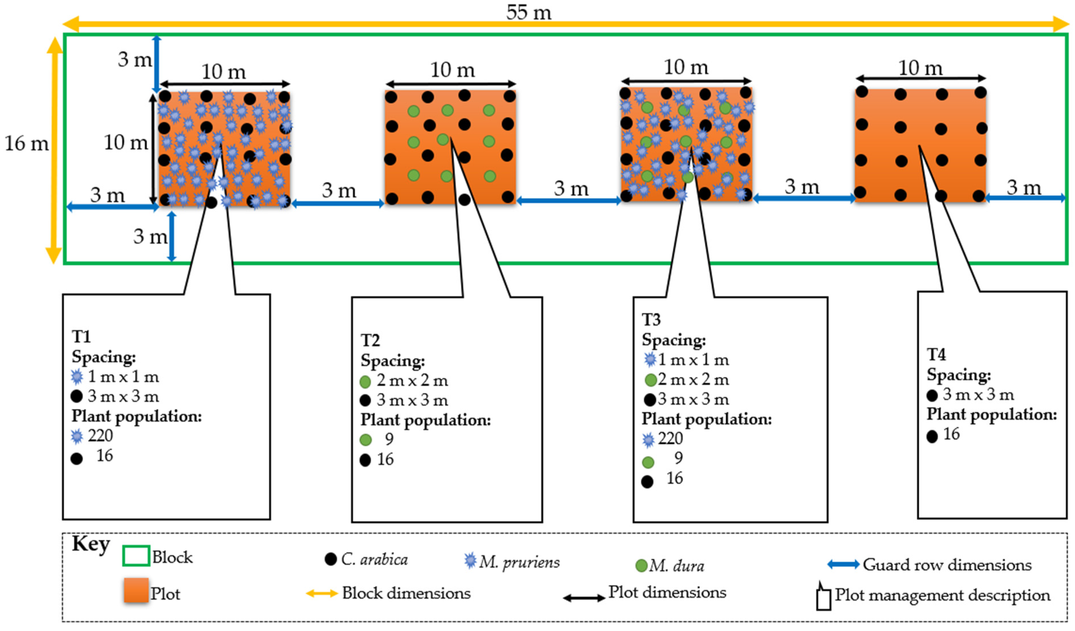 Sustainability 15 02453 g003