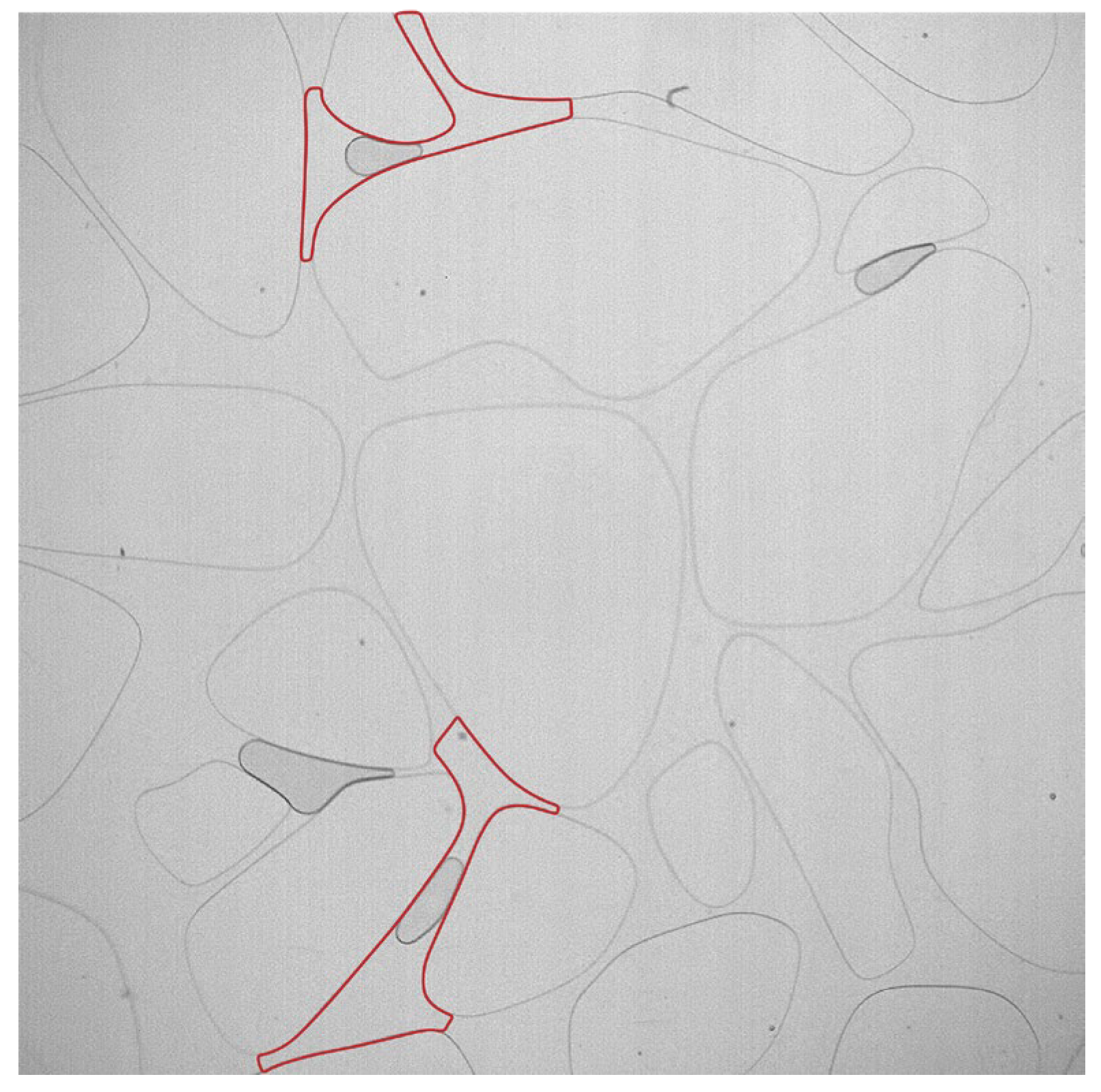 Sustainability 15 02593 g003