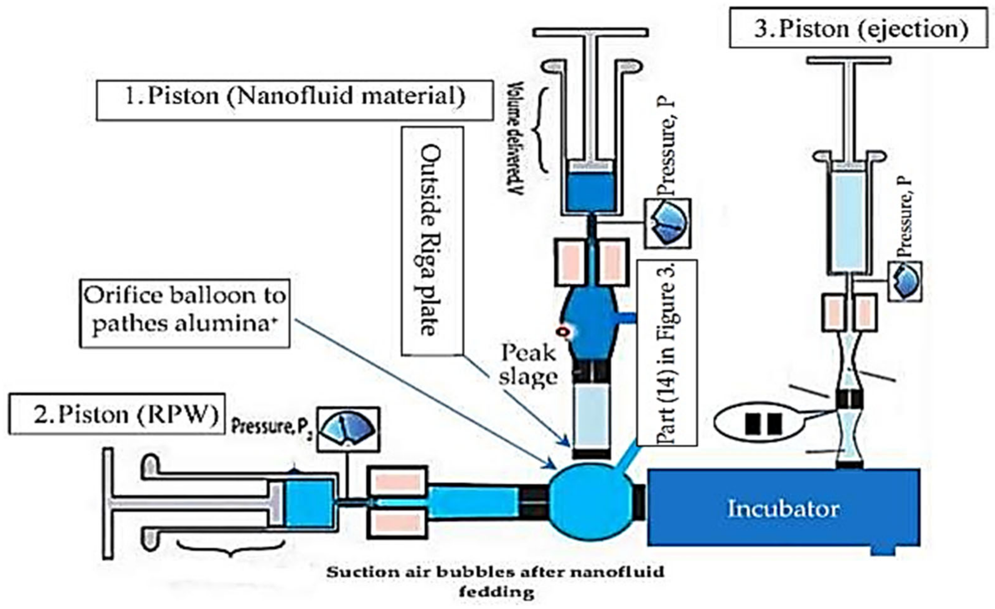Sustainability 15 02641 g006