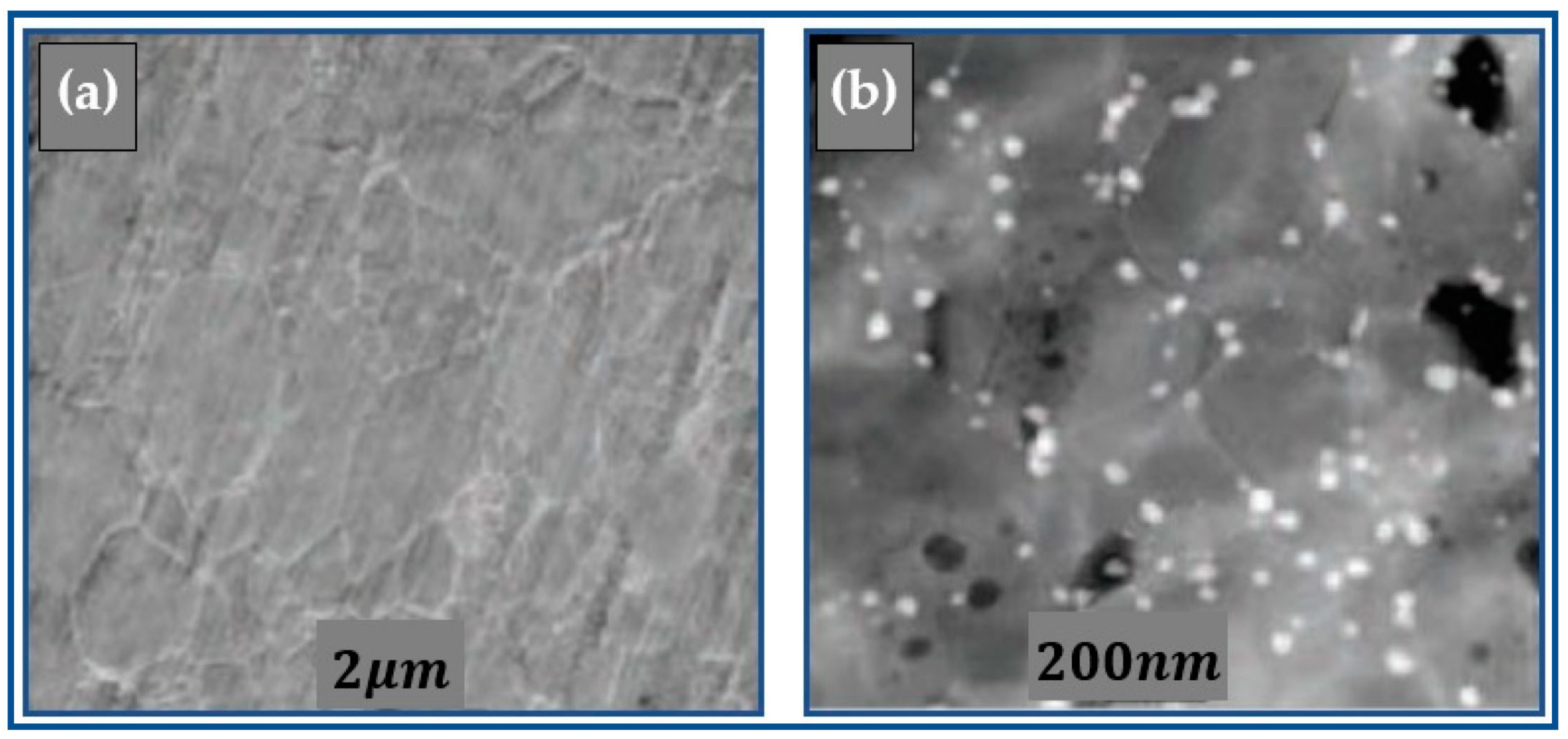 Sustainability 15 02641 g009