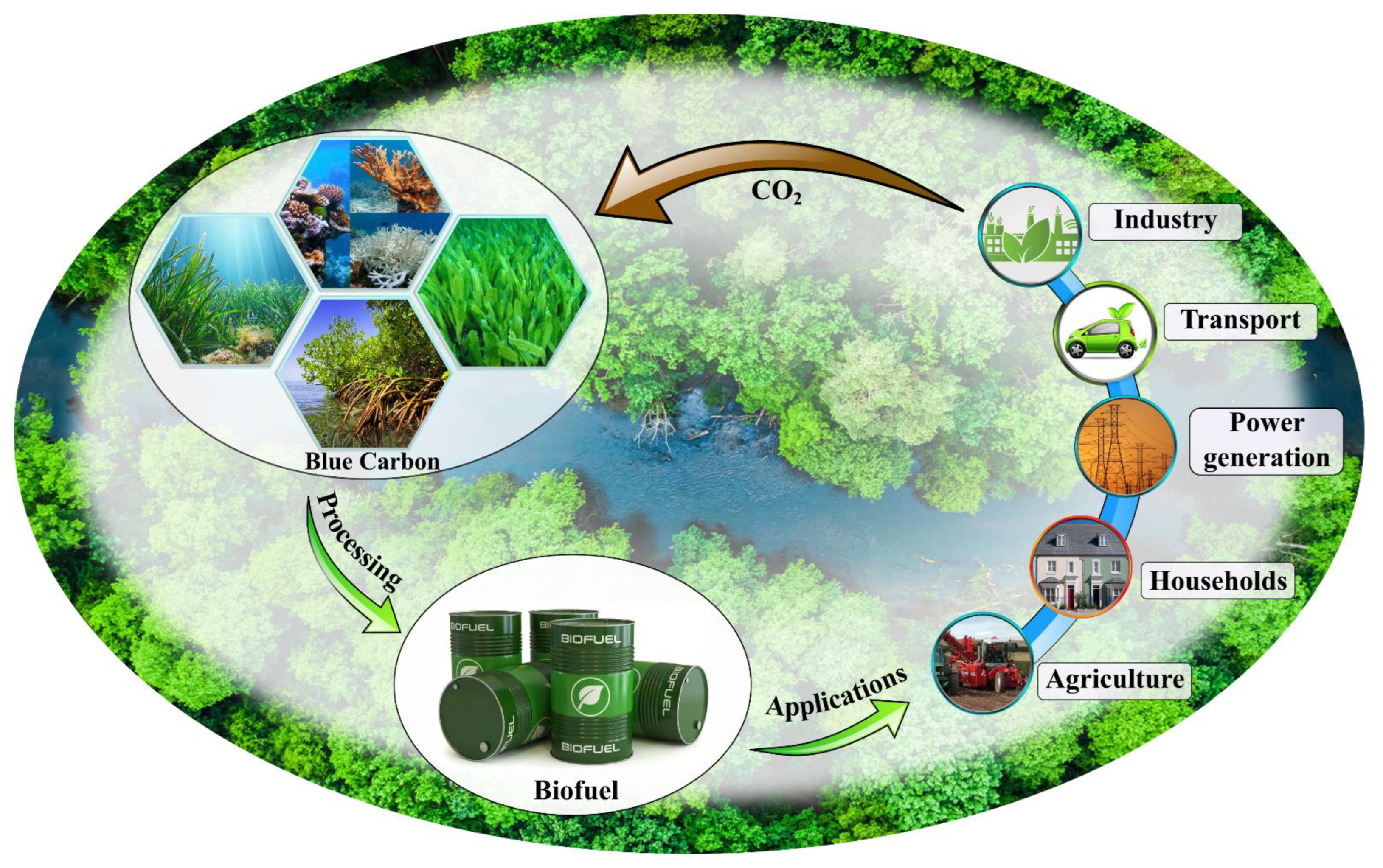 Frontiers  Tropical blue carbon: solutions and perspectives for valuations  of carbon sequestration