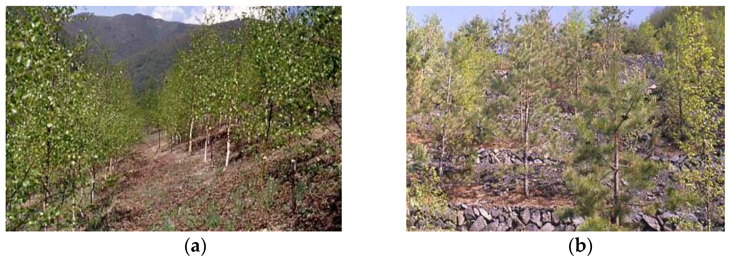 Sustainability 15 02761 g002