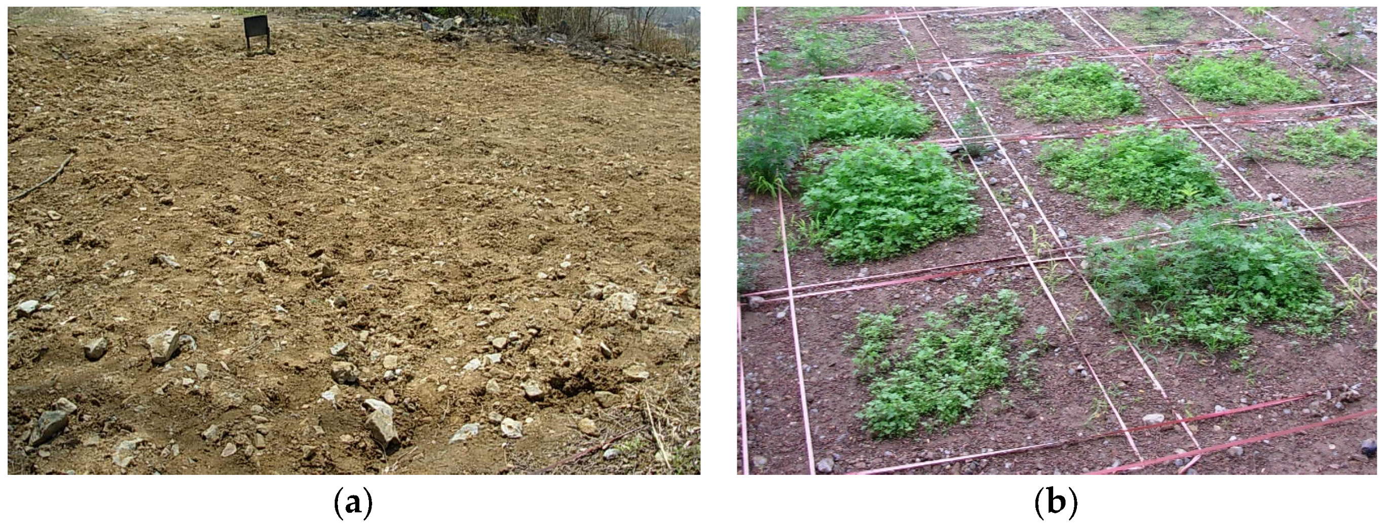 Sustainability 15 02761 g003