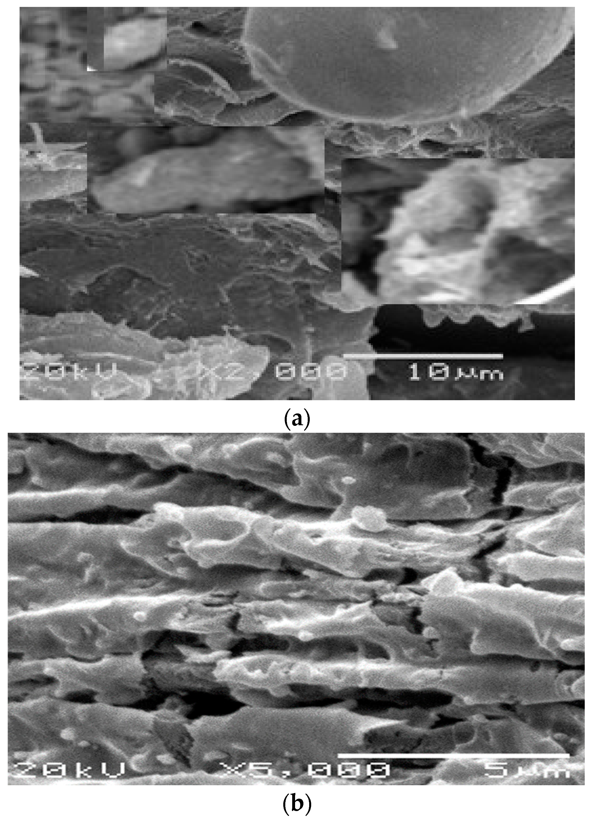 Sustainability 15 02779 g003a