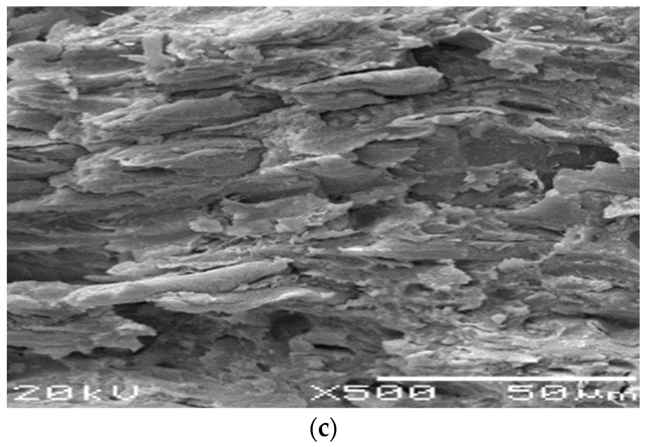 Sustainability 15 02779 g003b