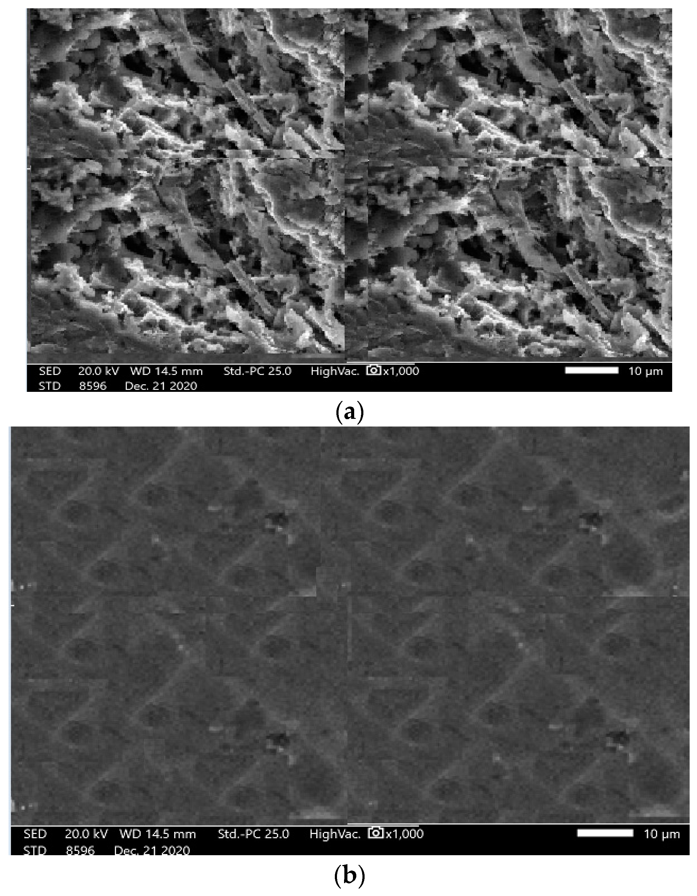 Sustainability 15 02779 g013