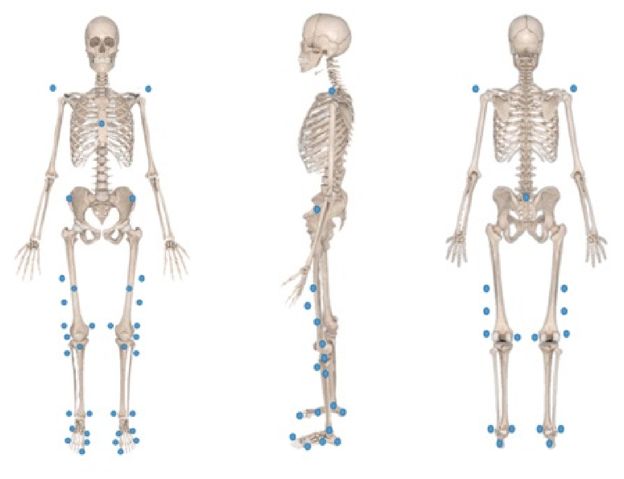 Sustainability 15 03029 g001