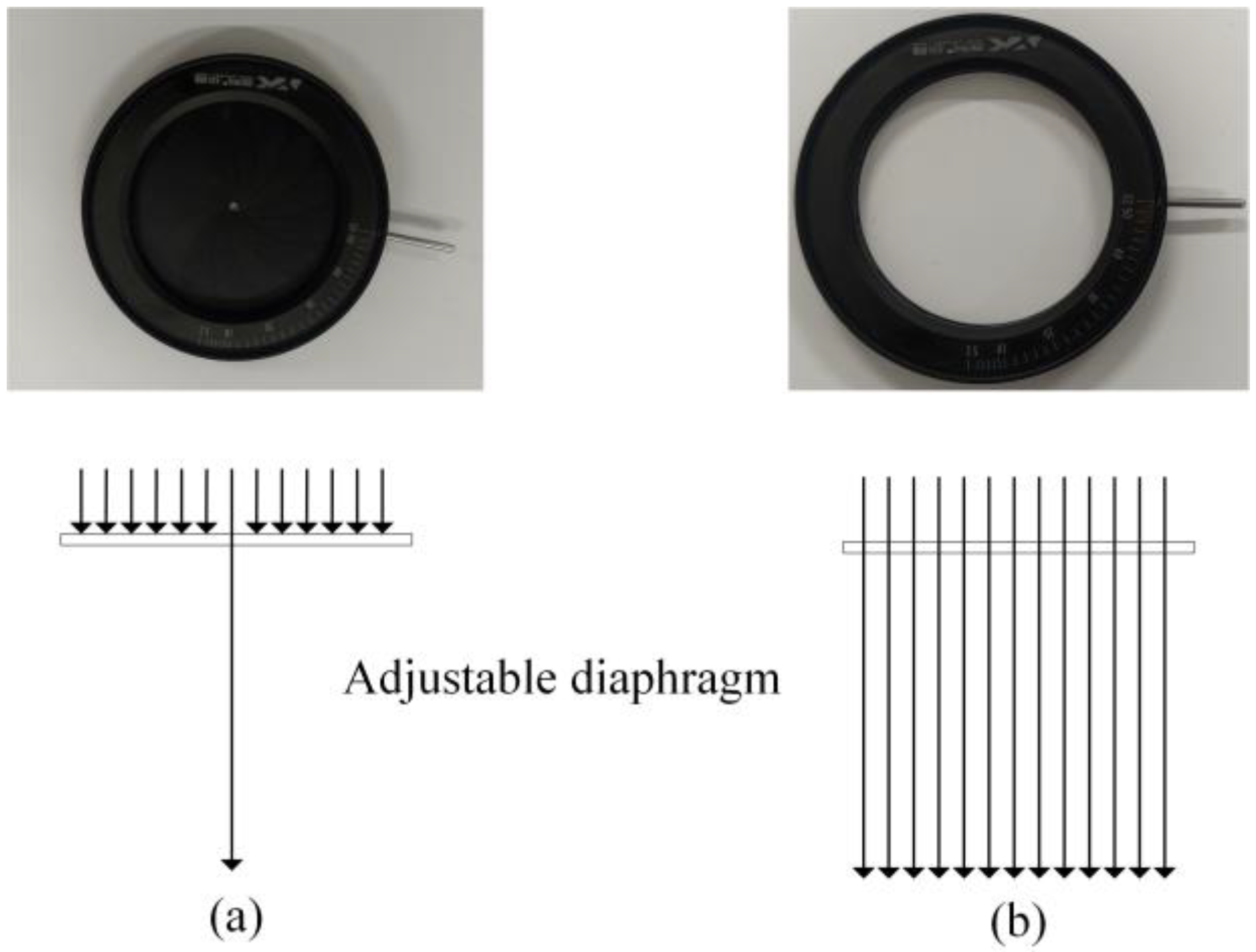 Sustainability 15 03155 g006