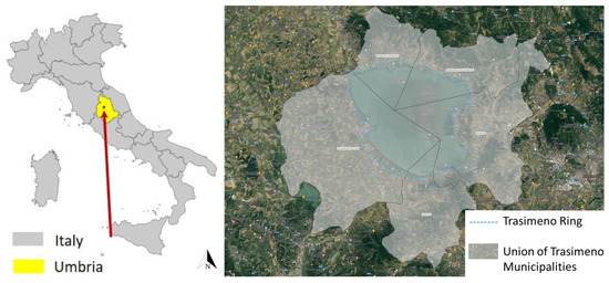 Mota – Anello intelligente