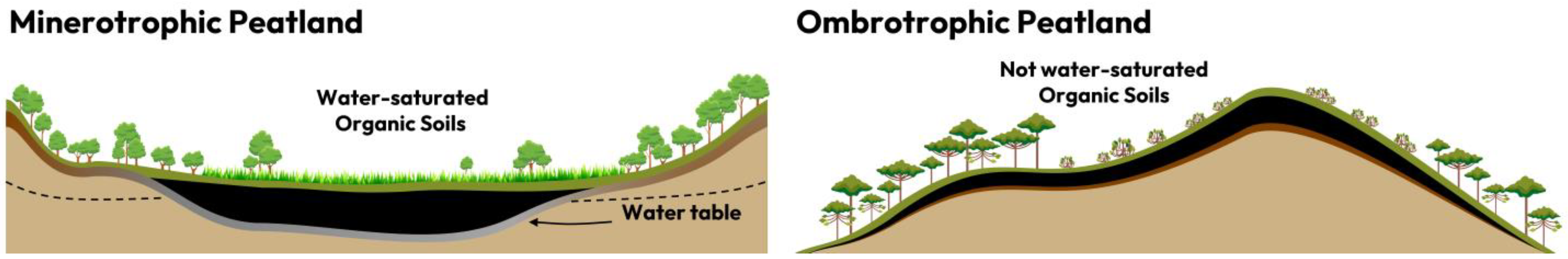 Paleoenvironmental dynamics in central‐eastern Brazil during the last 23  000 years: tropical peatland record in the Cerrado biome - Costa - 2023 -  Journal of Quaternary Science - Wiley Online Library