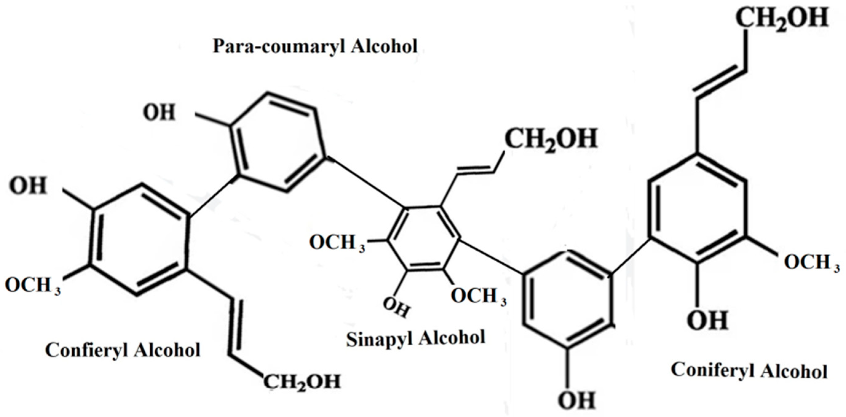 Sustainability 15 03590 g002