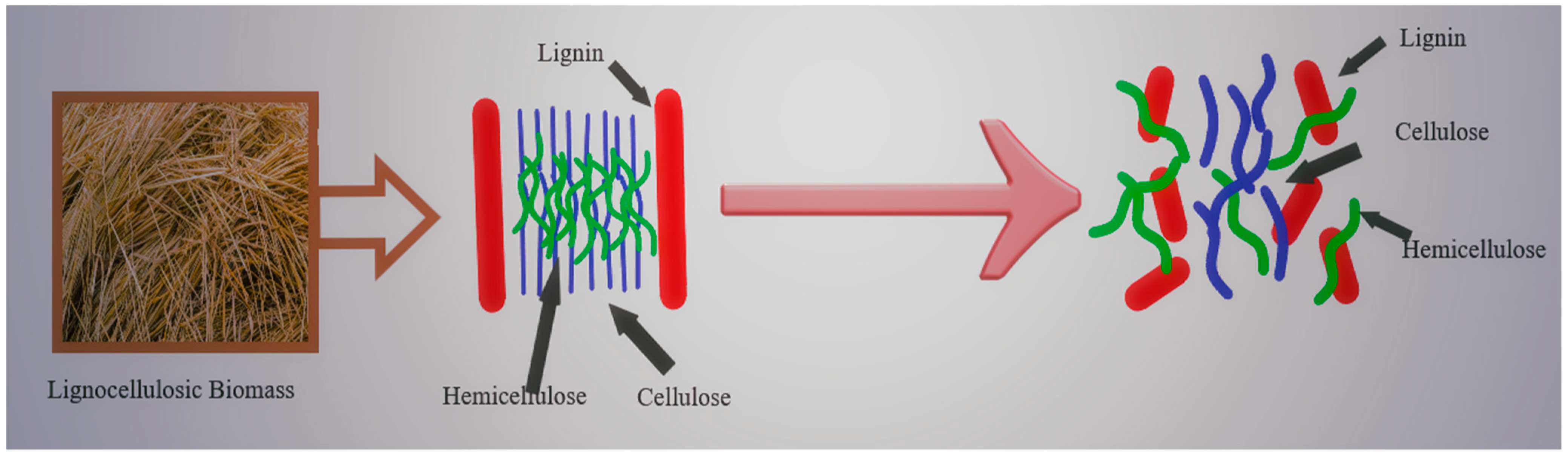 Sustainability 15 03590 g005