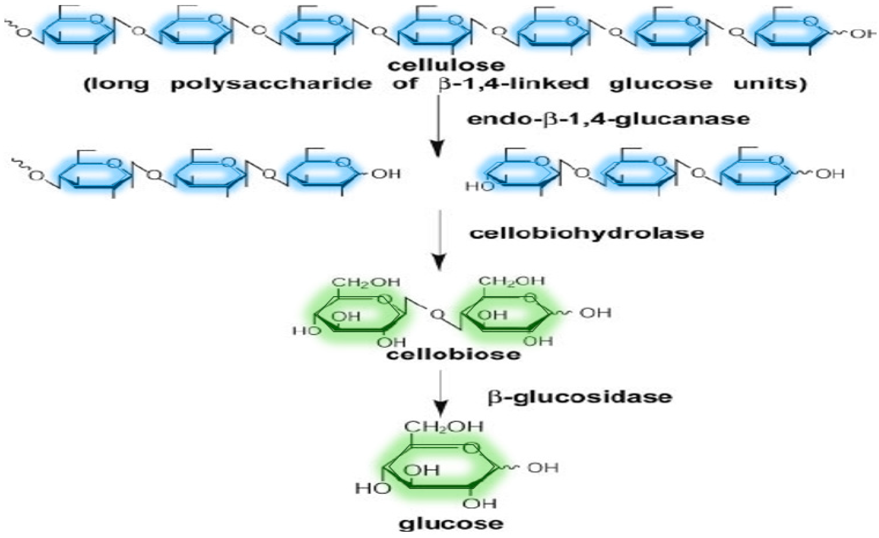 Sustainability 15 03590 g006