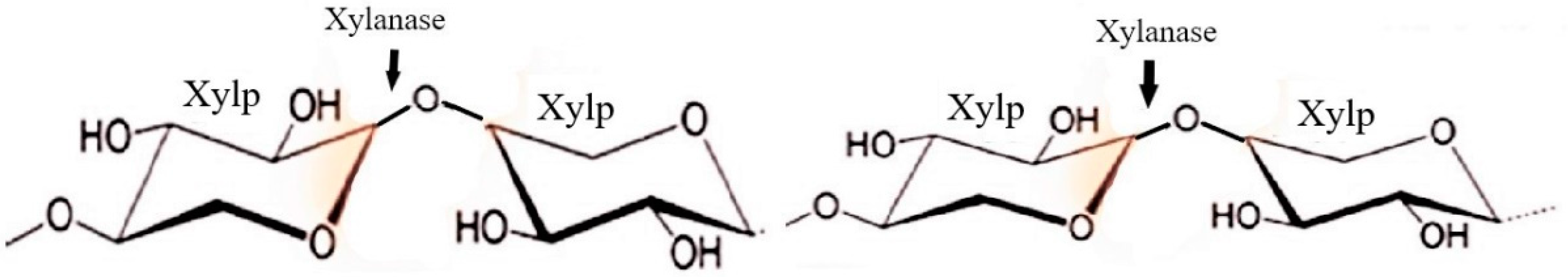 Sustainability 15 03590 g007
