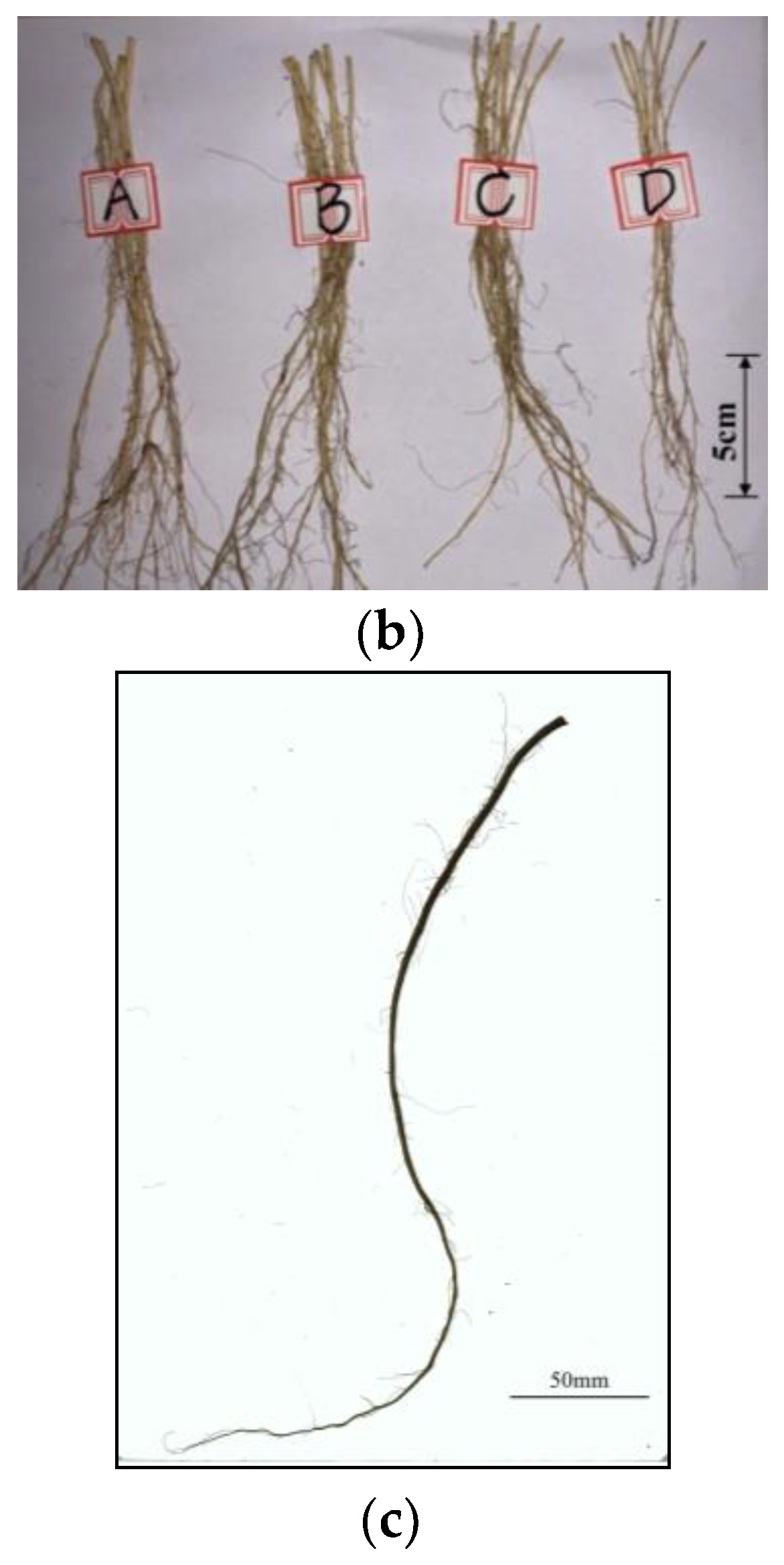 Sustainability 15 03709 g001b Sustainability 15 03709 g001b