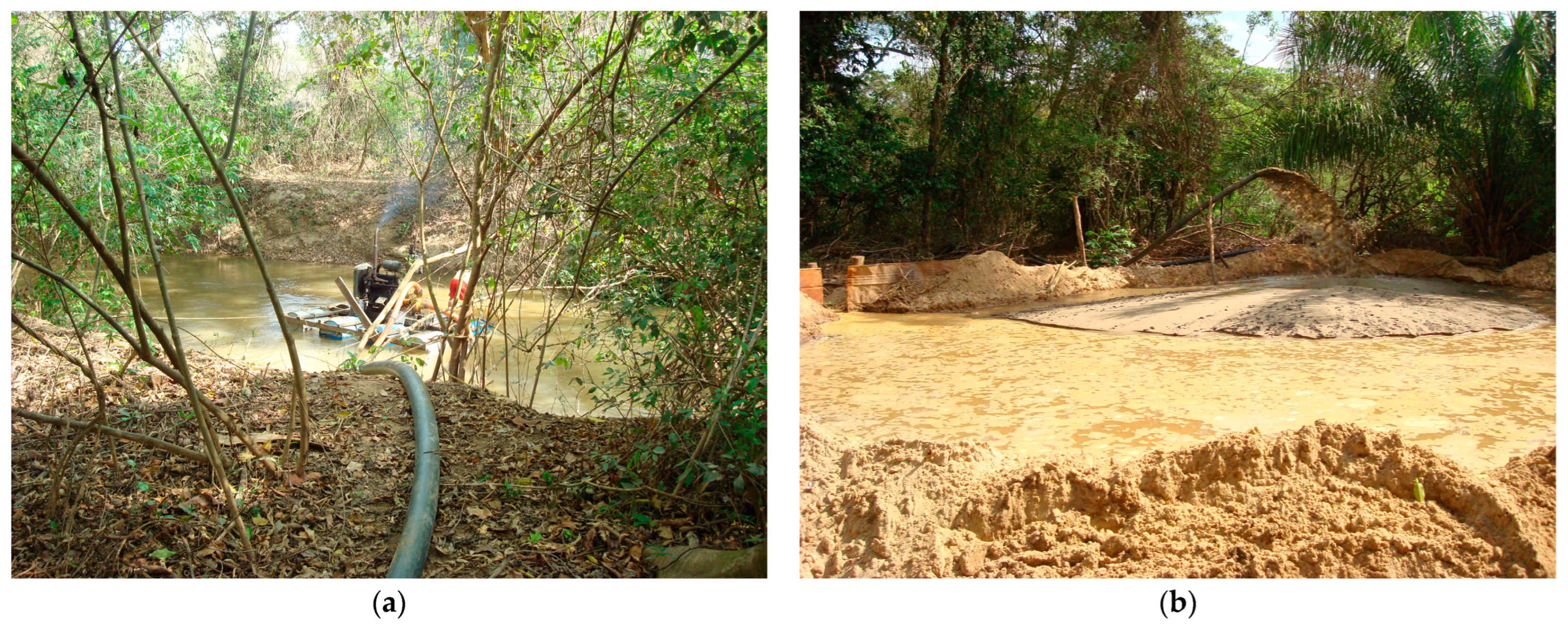 Water Quality Simulation in the Bois River, Goiás, Central Brazil