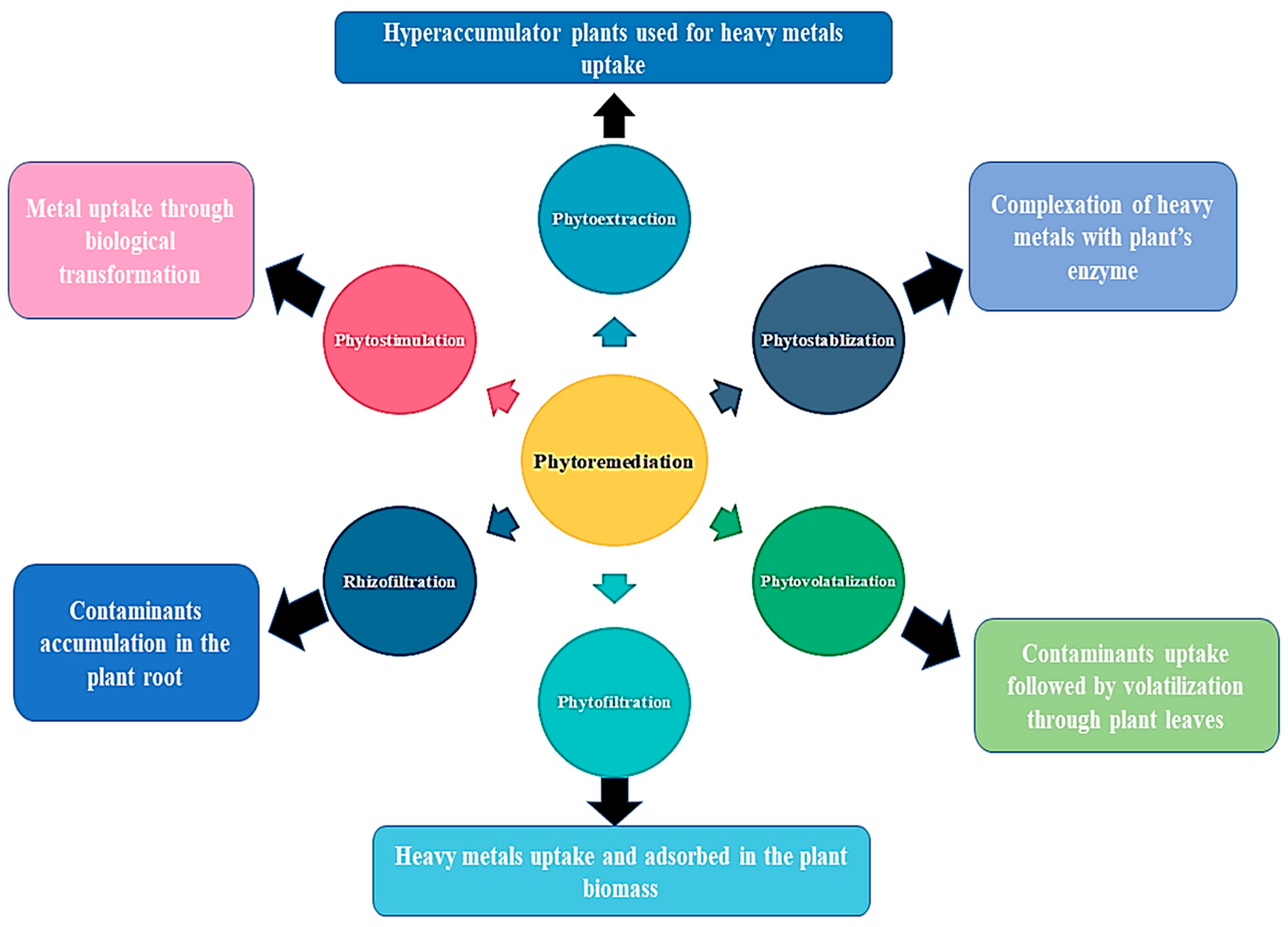 Sustainability 15 03973 g005