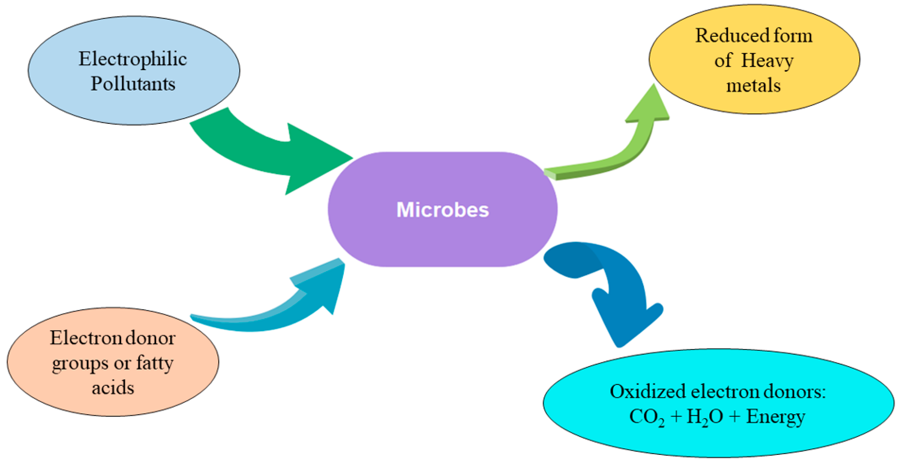 Sustainability 15 03973 g007