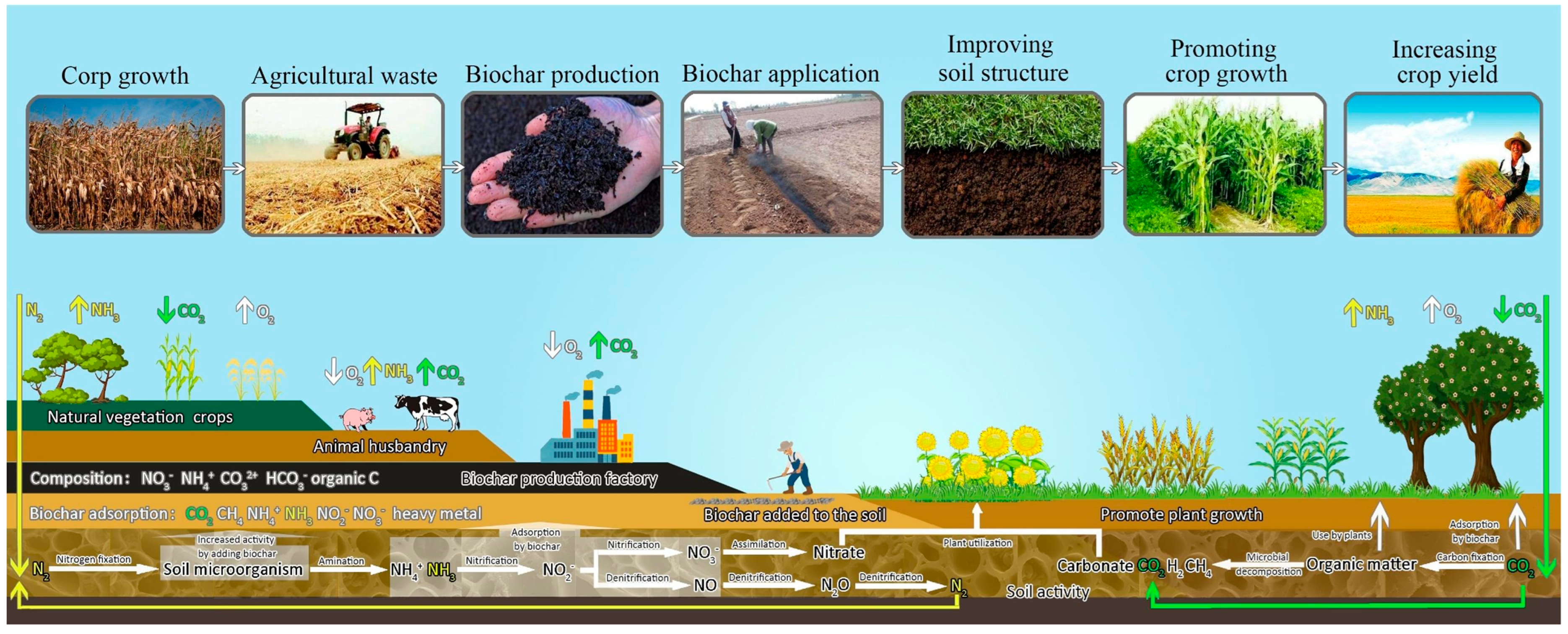Sustainability 15 03973 g011