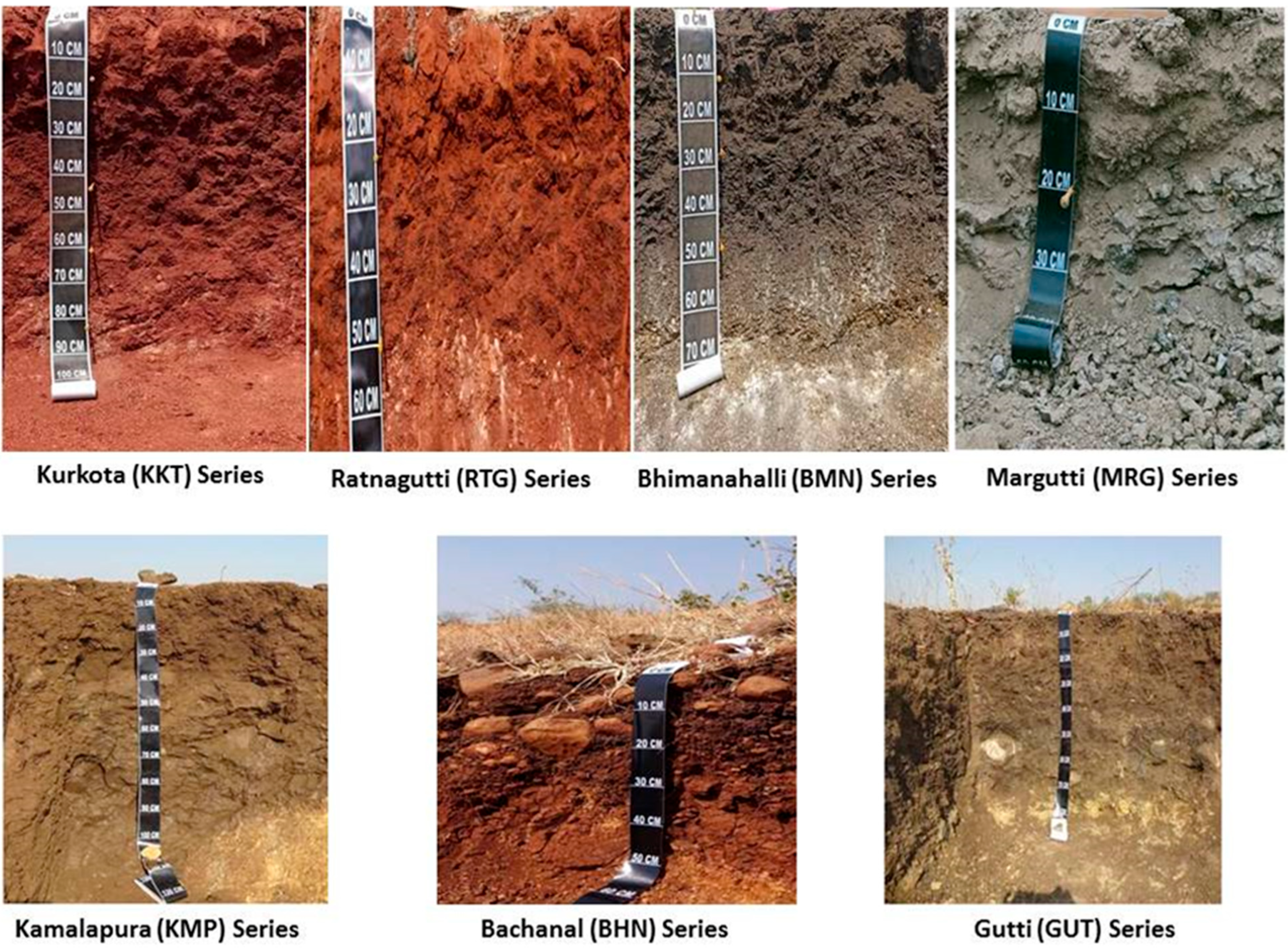 Sustainability 15 03998 g003 Sustainability 15 03998 g003