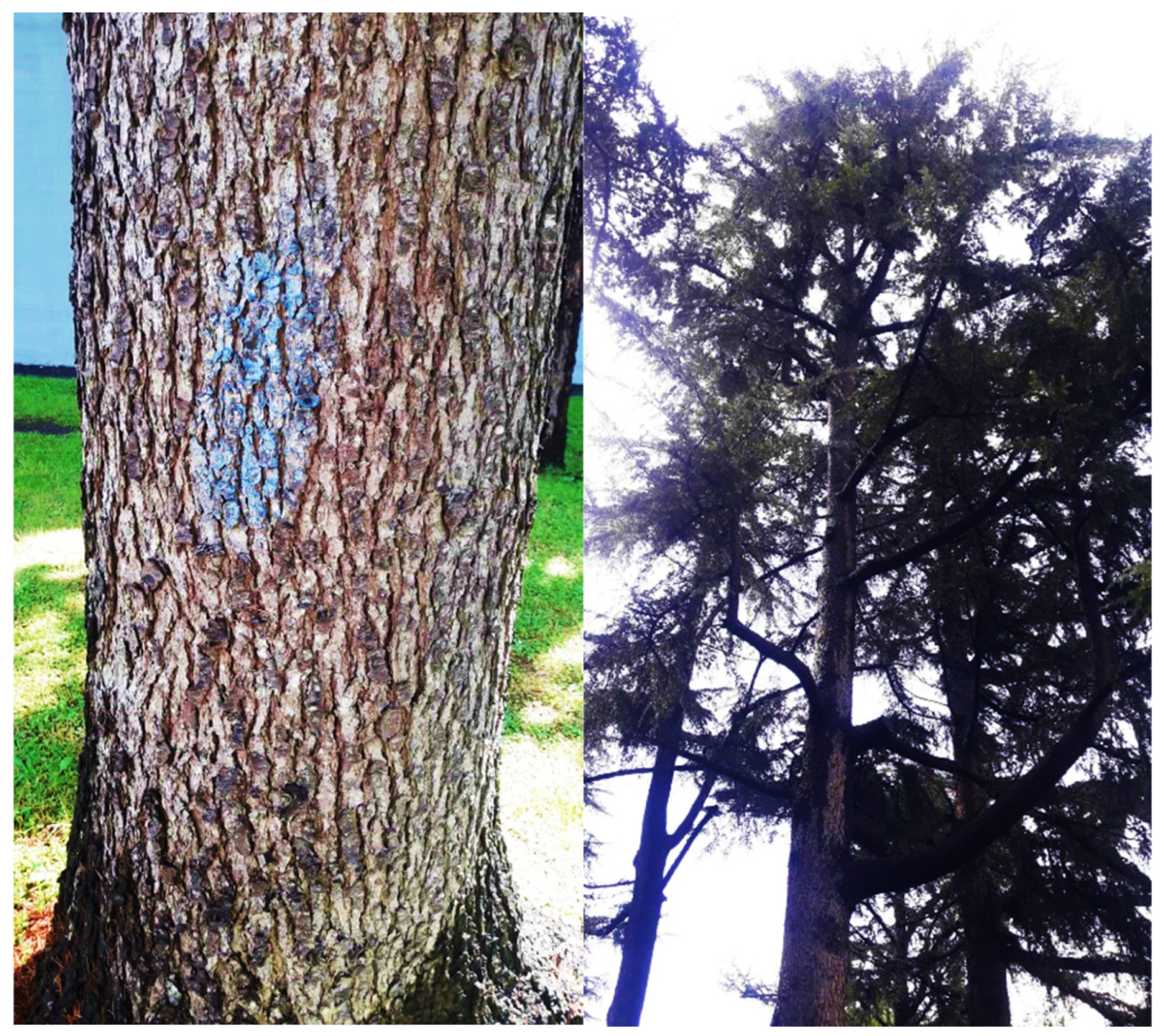 Sustainability 15 04022 g002 Sustainability 15 04022 g002