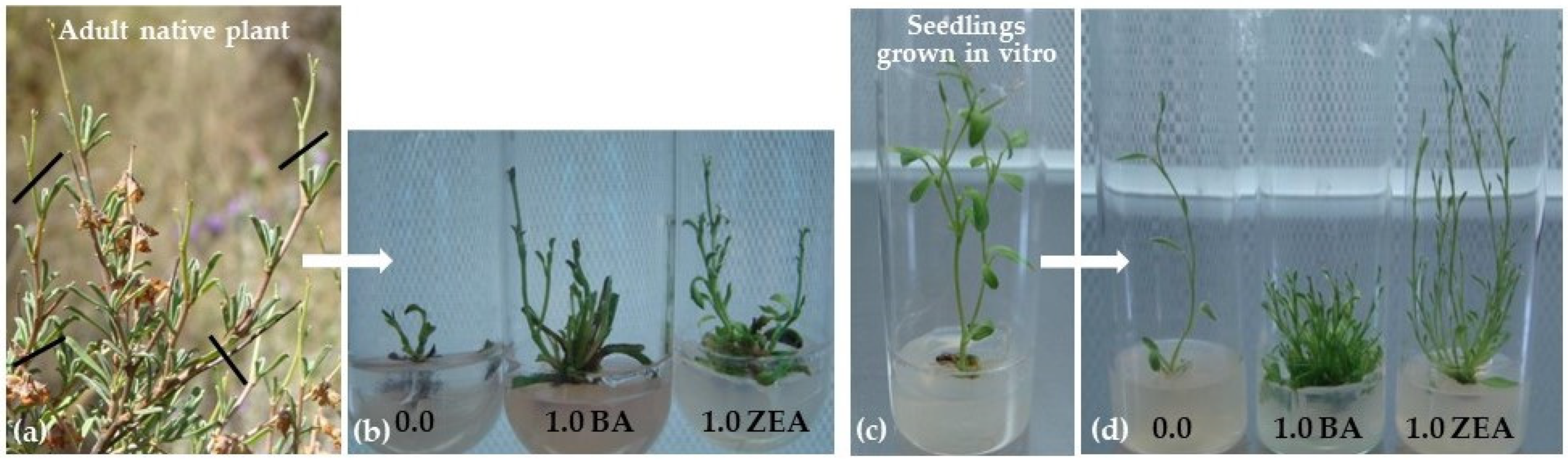 Sustainability 15 04025 g002 Sustainability 15 04025 g002