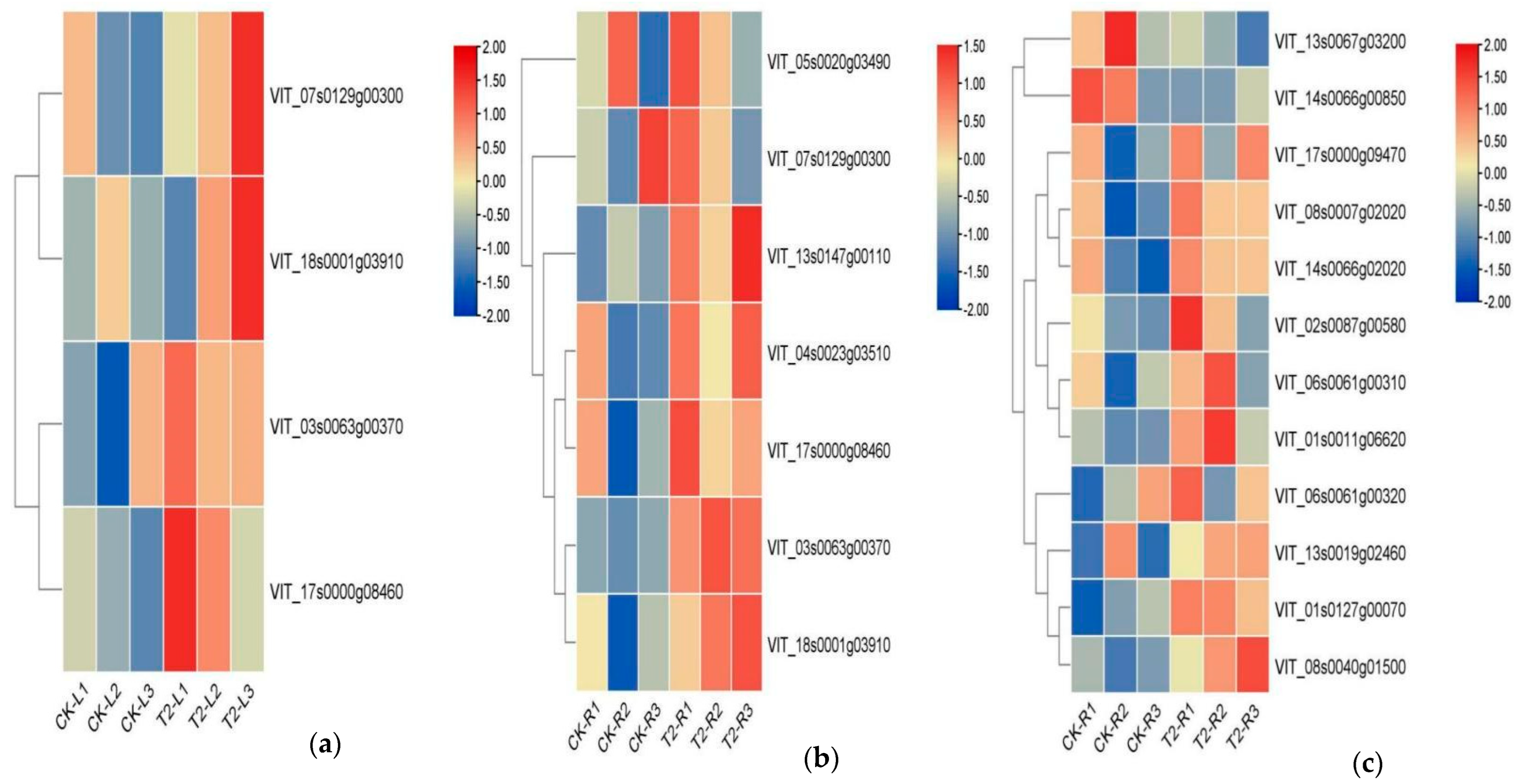 Sustainability 15 04130 g008