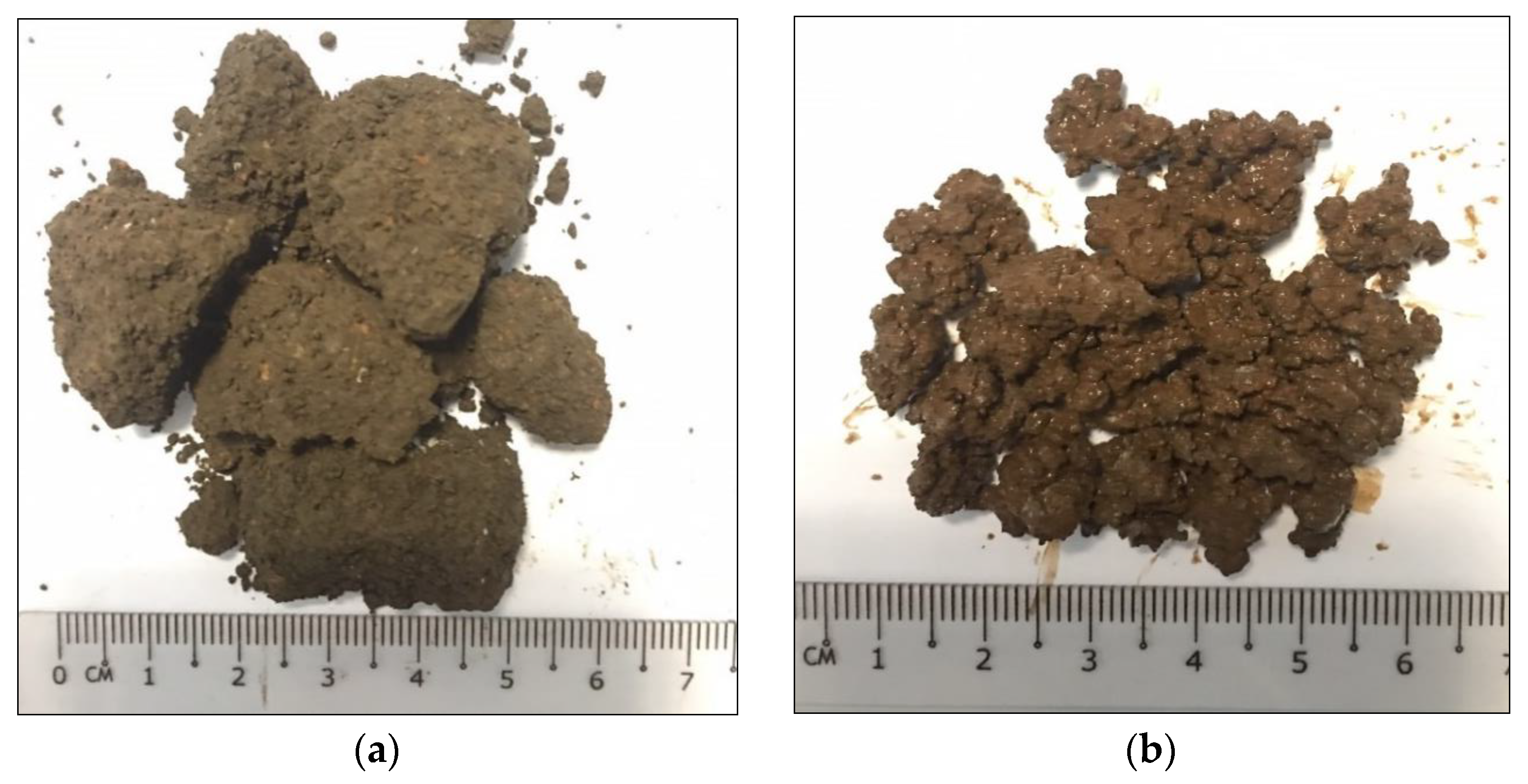 Sustainability 15 04229 g005