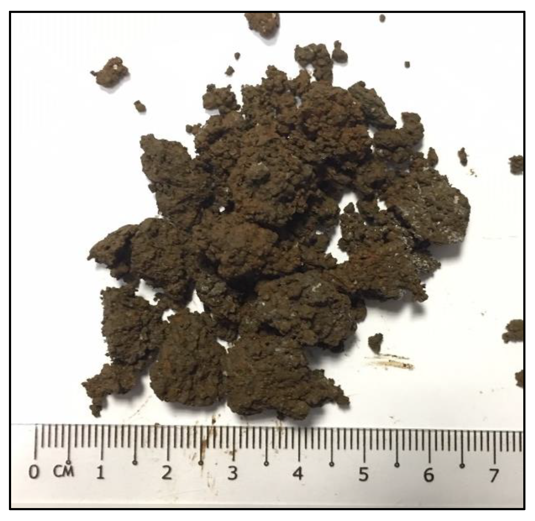 Sustainability 15 04229 g008