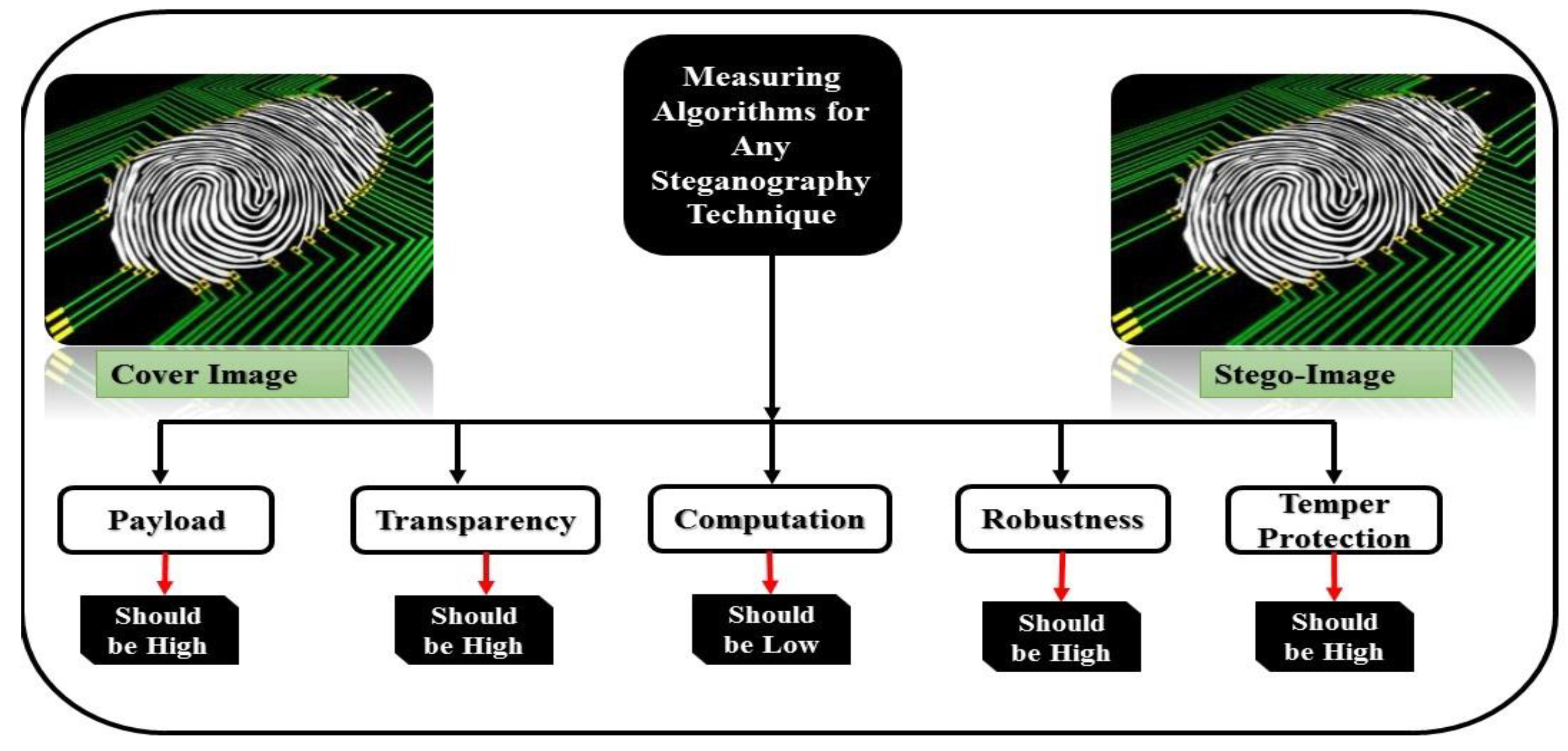 Steganography