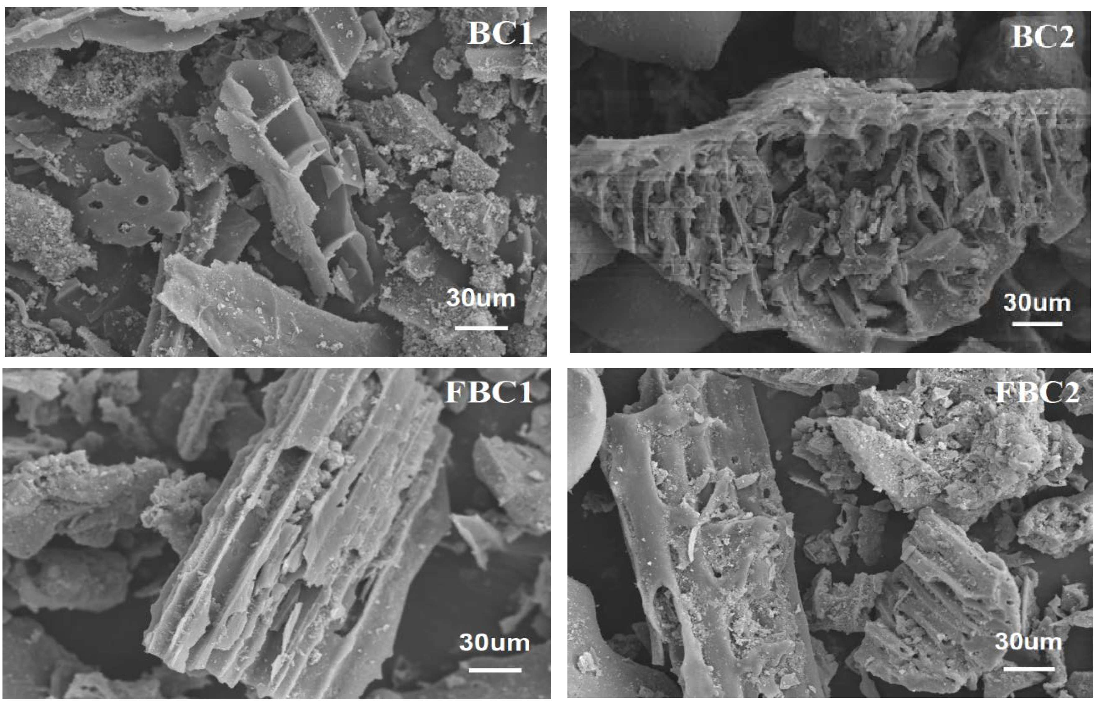 Sustainability 15 04373 g002a