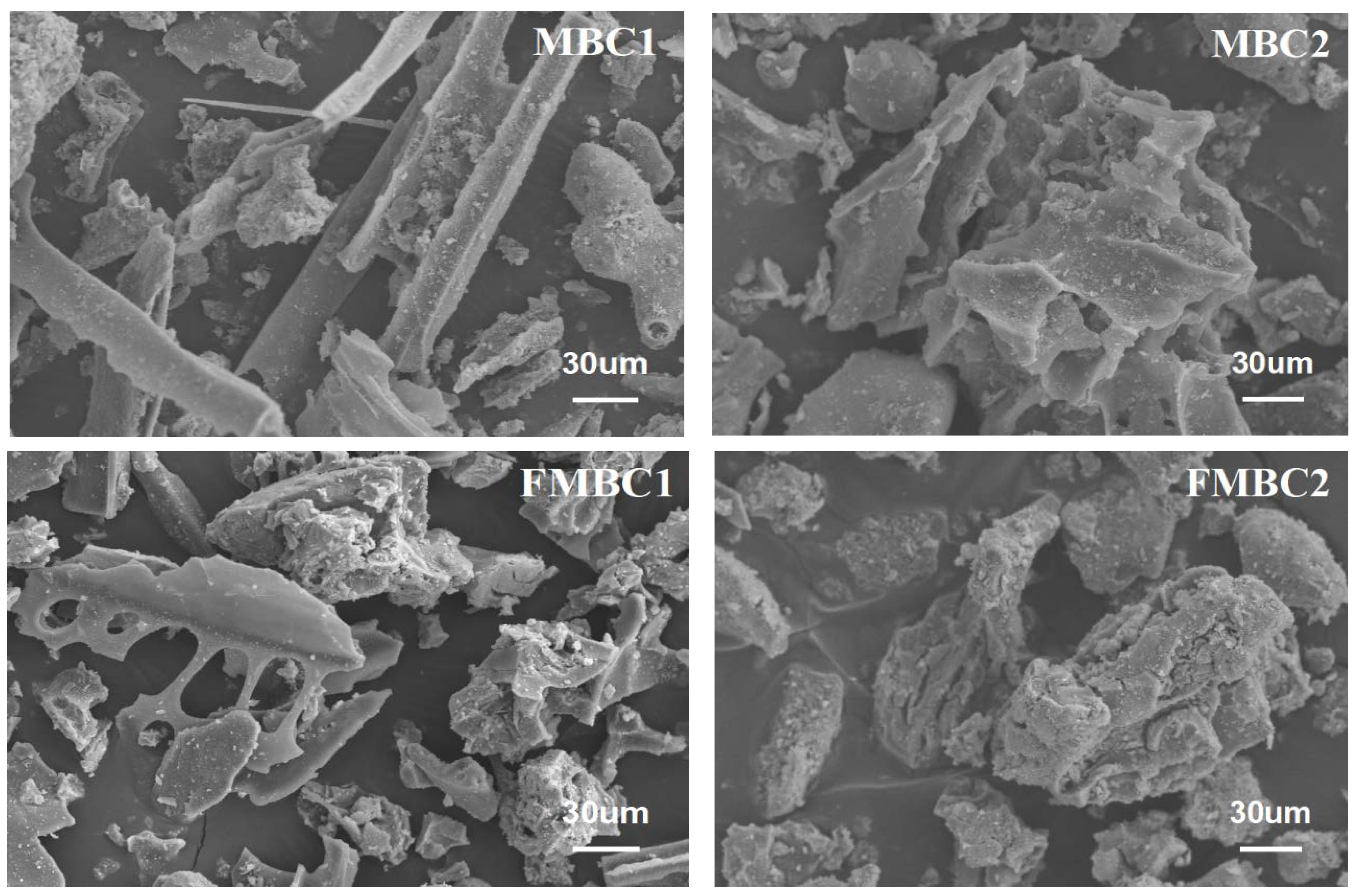 Sustainability 15 04373 g002b