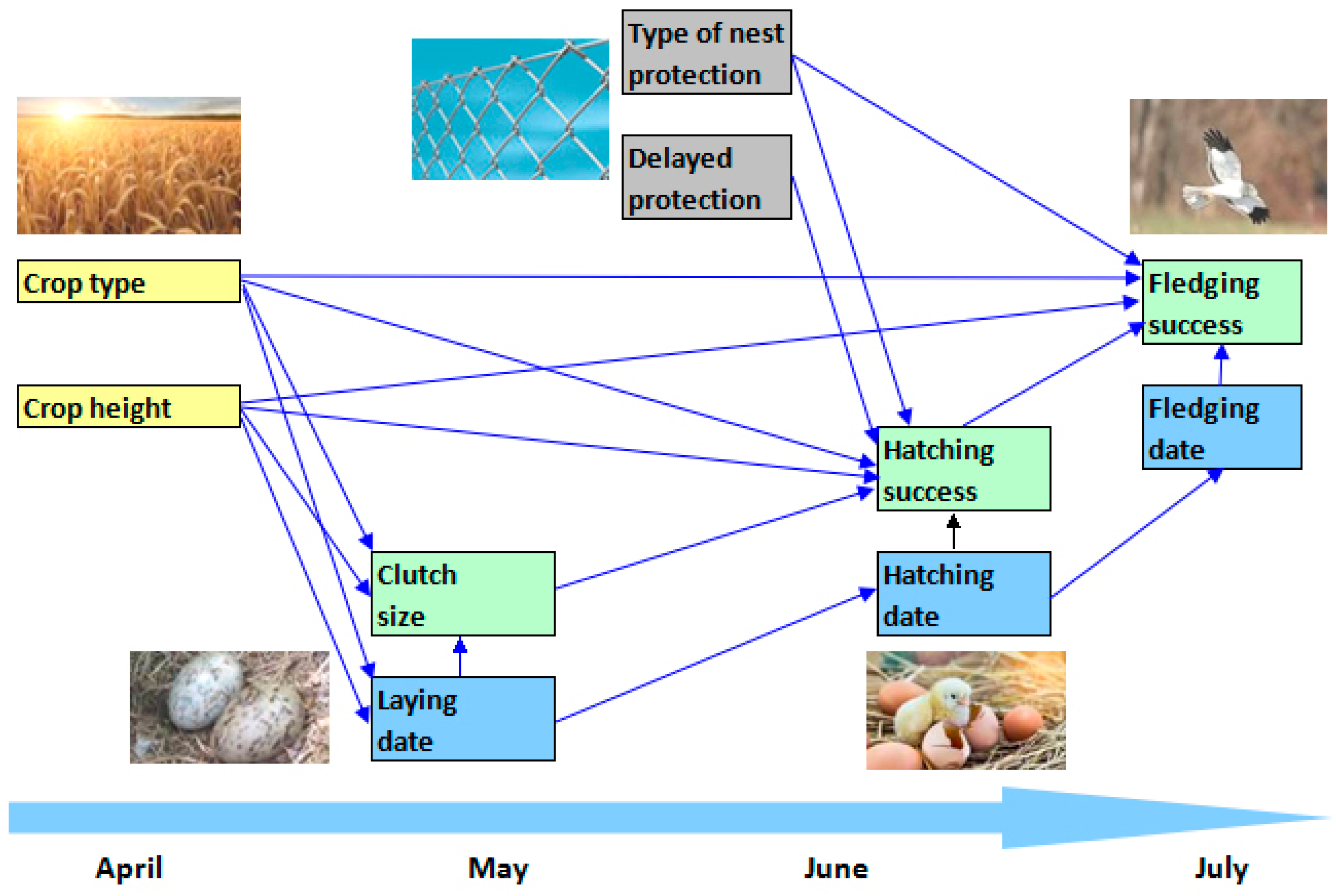Sustainability 15 04426 g002