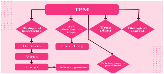 Cage Trap Setting Principles - Pest Control Technology