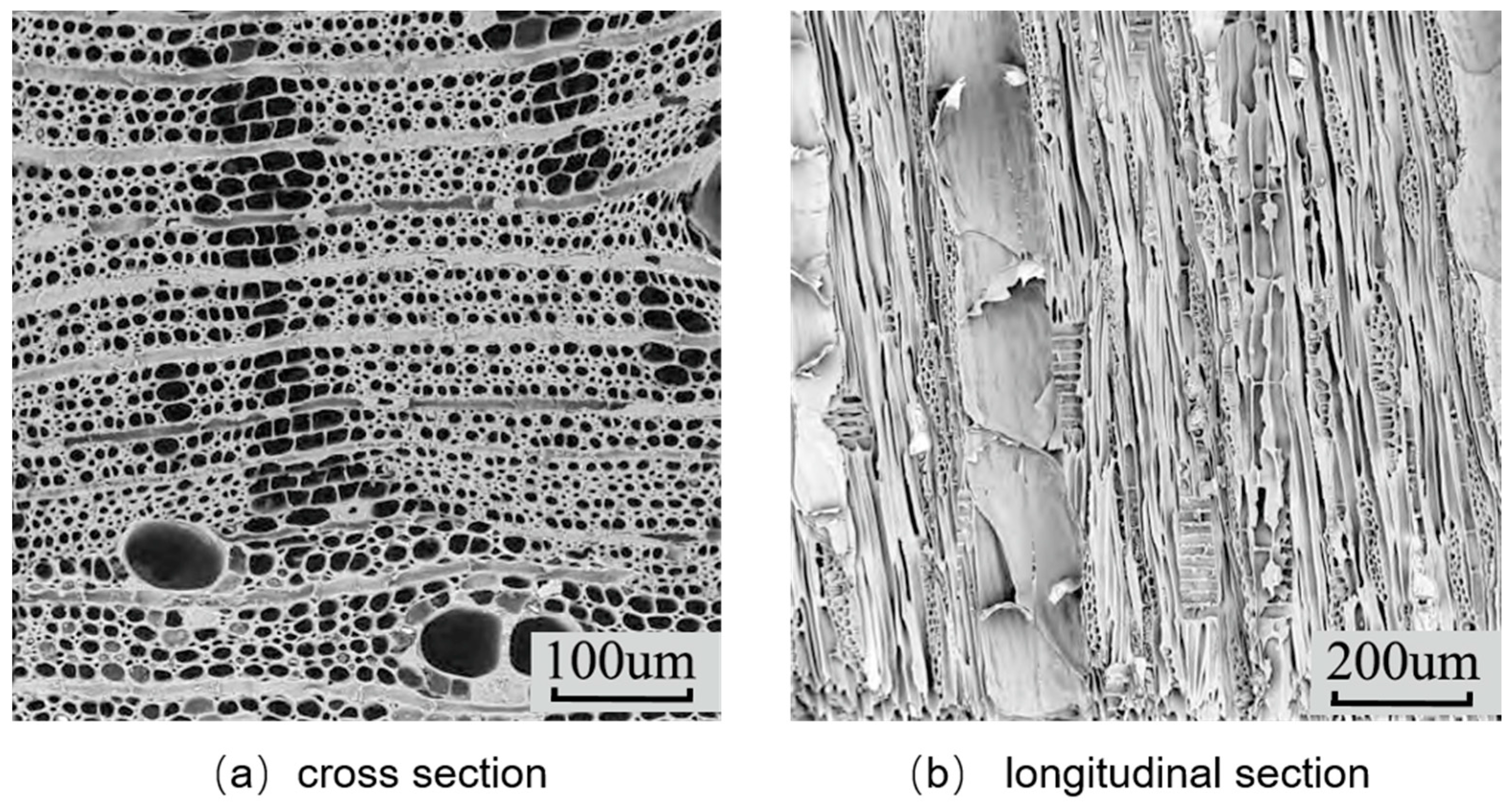 Sustainability 15 04535 g003 Sustainability 15 04535 g003