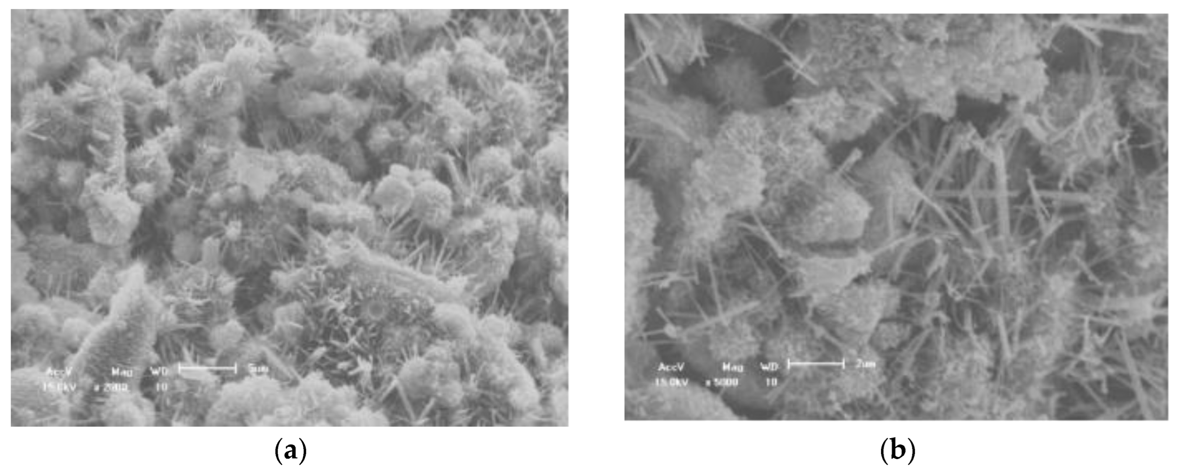 Sustainability 15 04714 g010