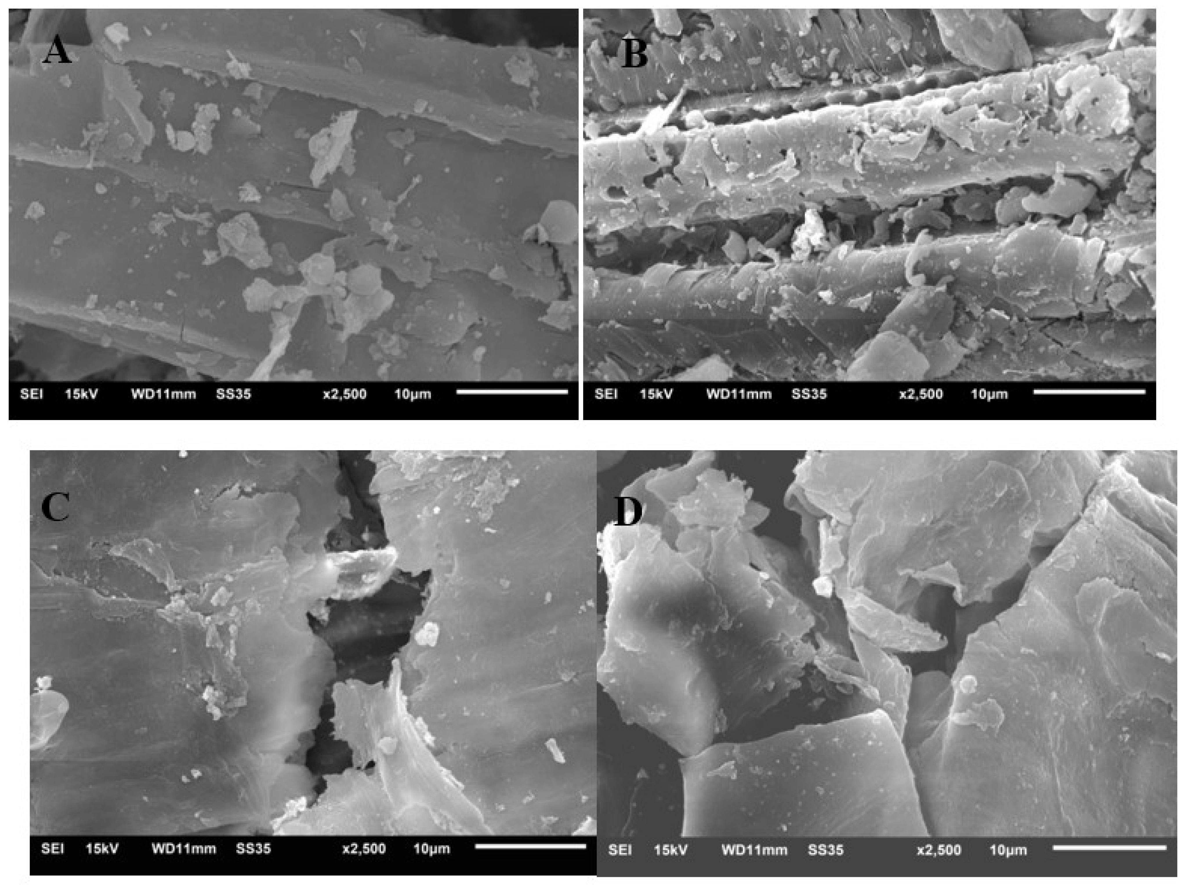 Sustainability 15 04728 g001