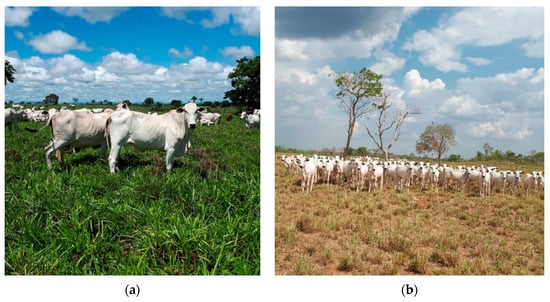 https://www.mdpi.com/sustainability/sustainability-15-04801/article_deploy/html/images/sustainability-15-04801-g001-550.jpg