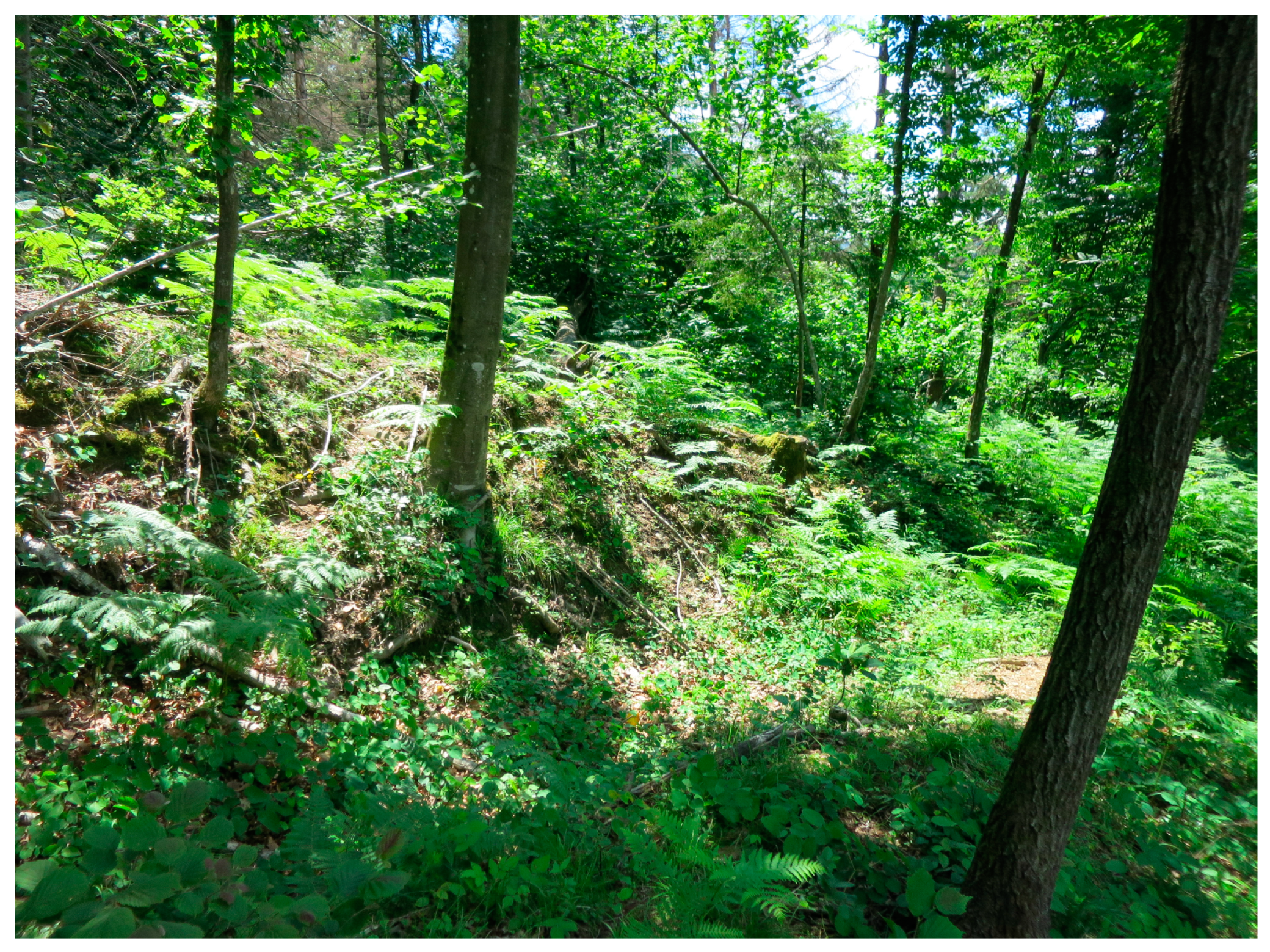 Sustainability 15 04862 g0a1 Sustainability 15 04862 g0a1