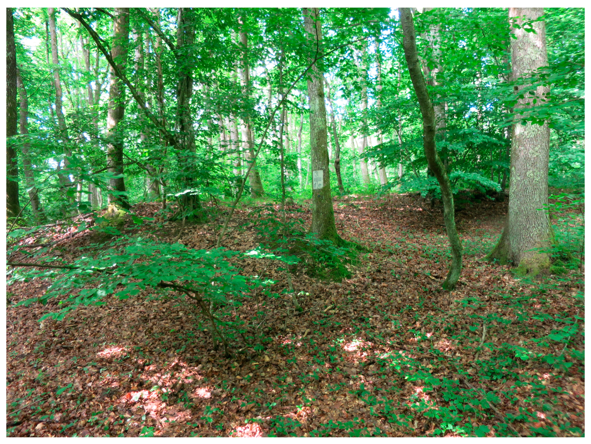 Sustainability 15 04862 g0a10 Sustainability 15 04862 g0a10