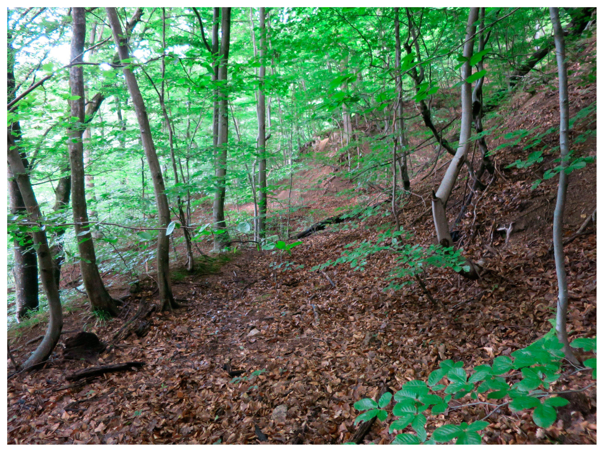 Sustainability 15 04862 g0a11 Sustainability 15 04862 g0a11