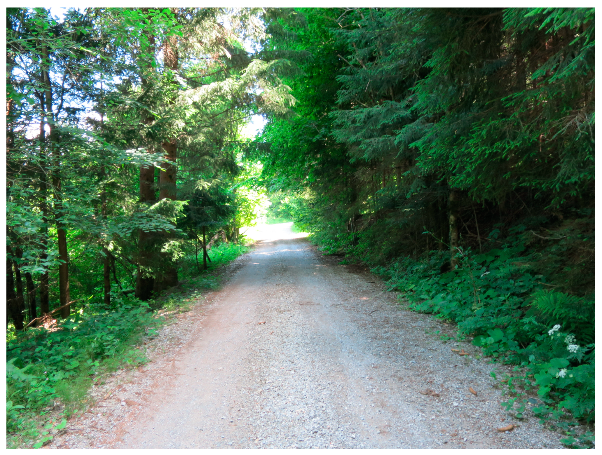 Sustainability 15 04862 g0a2 Sustainability 15 04862 g0a2