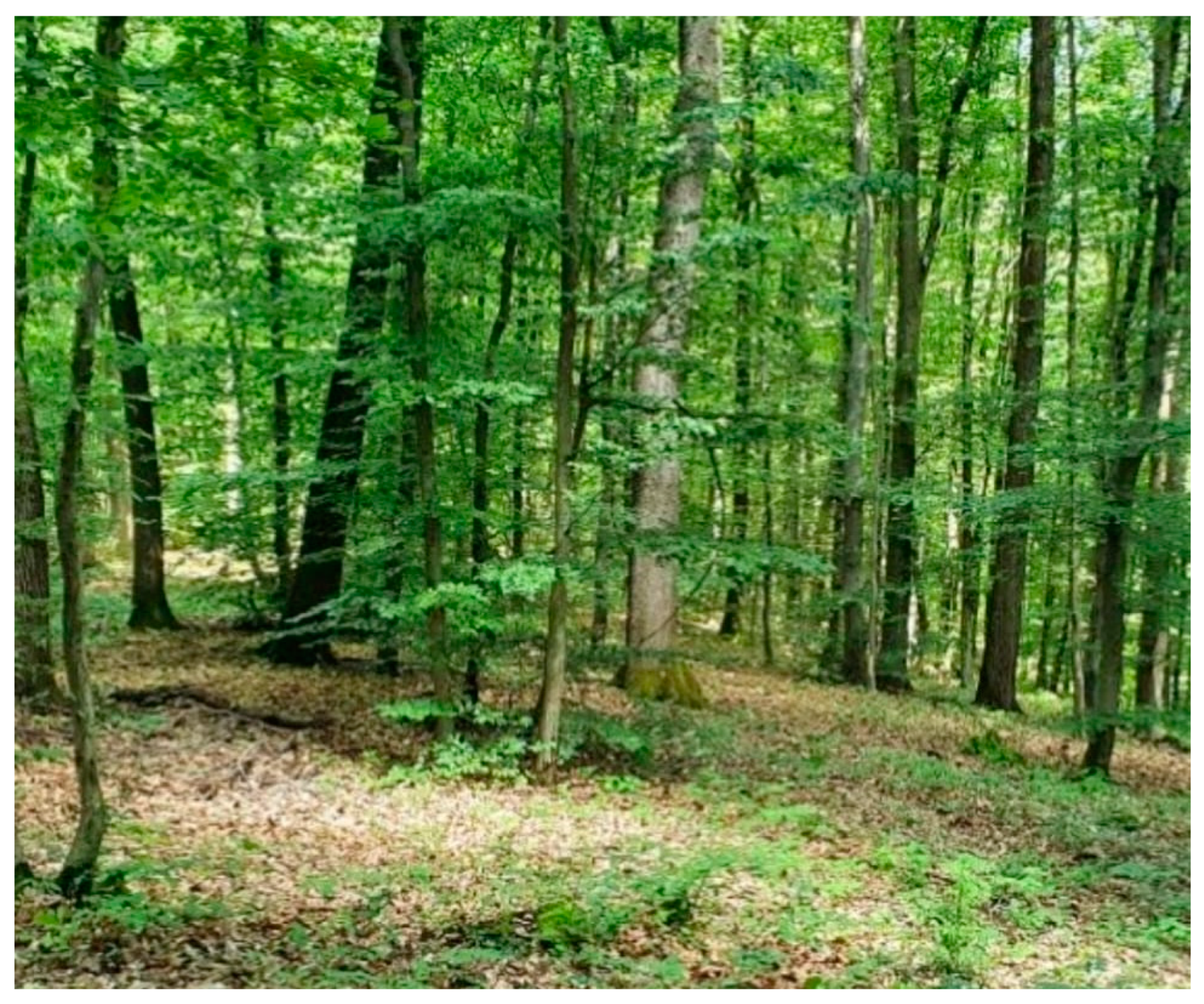 Sustainability 15 04862 g0a5 Sustainability 15 04862 g0a5