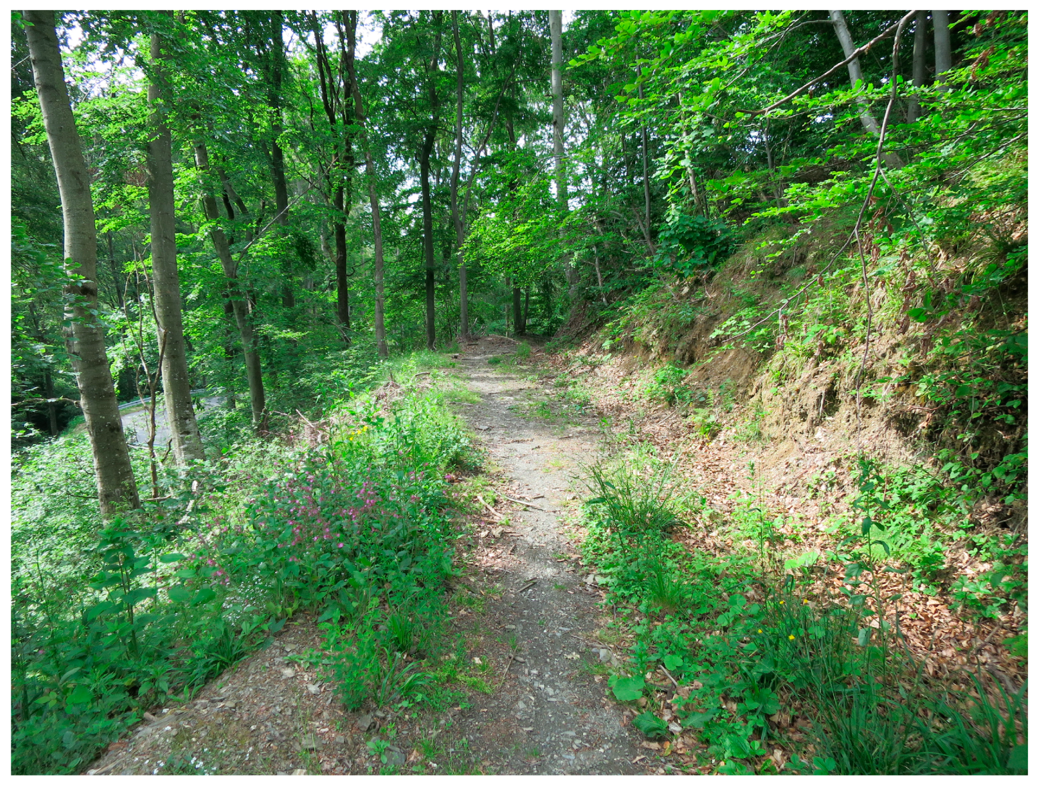 Sustainability 15 04862 g0a6 Sustainability 15 04862 g0a6