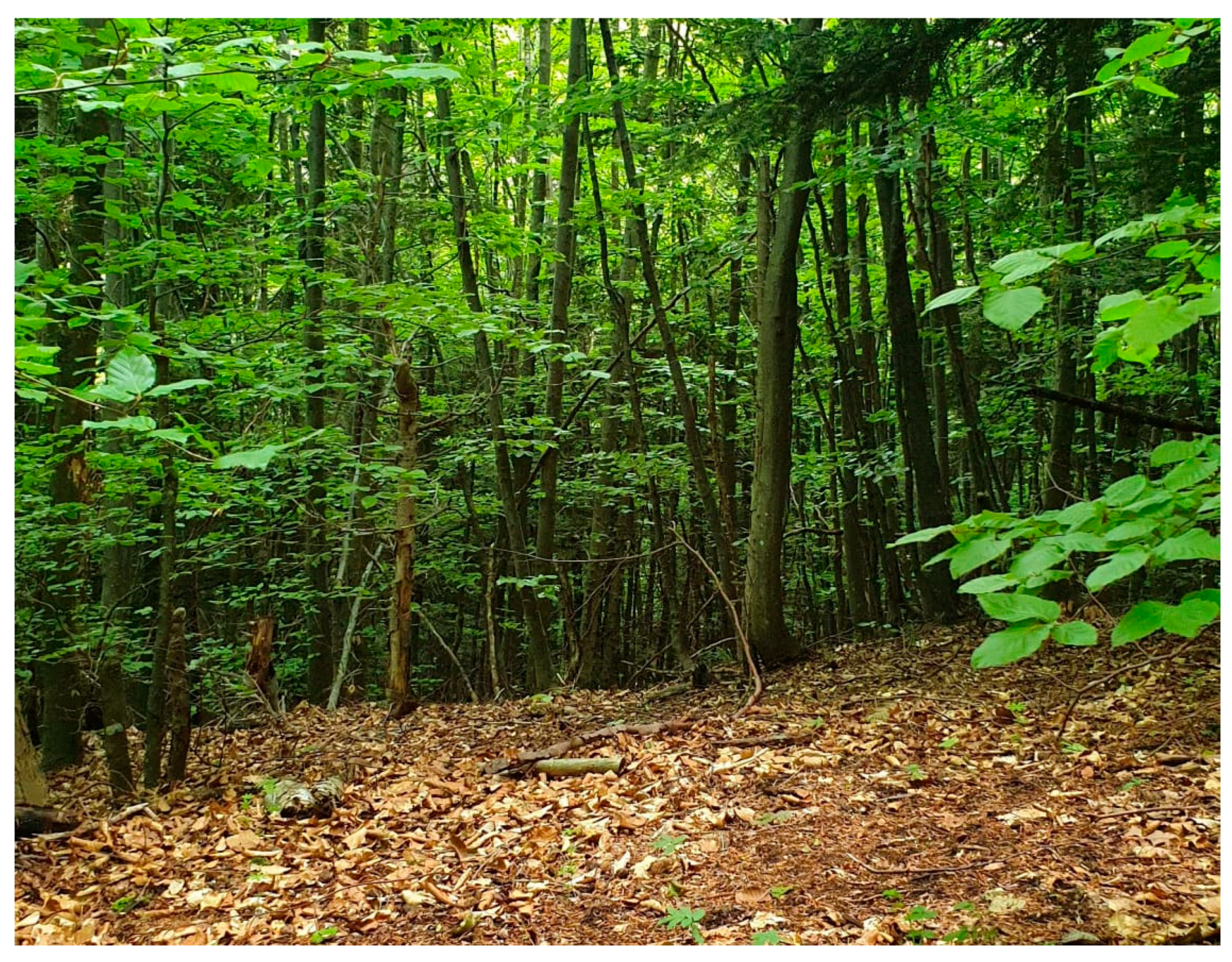 Sustainability 15 04862 g0a8 Sustainability 15 04862 g0a8