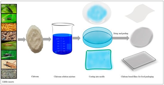 Frontiers  Investigation of carboxymethyl chitosan in the development of  biodegradable soft bait fishing lures