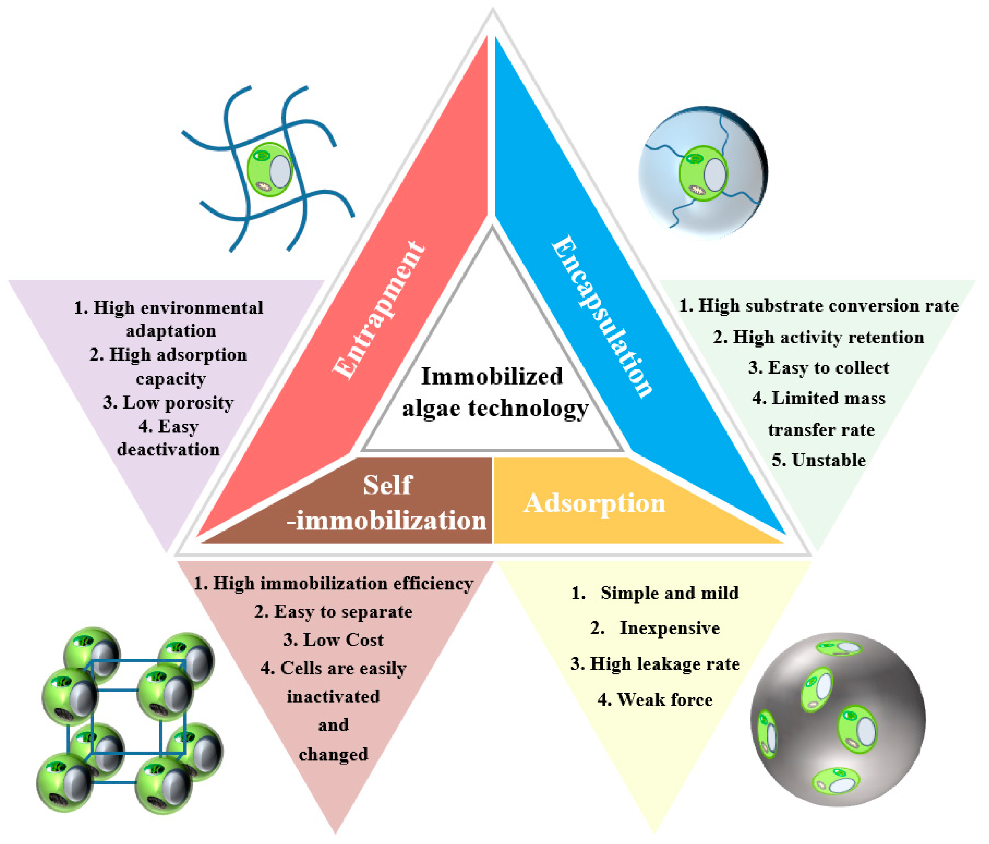 Sustainability 15 05128 g002
