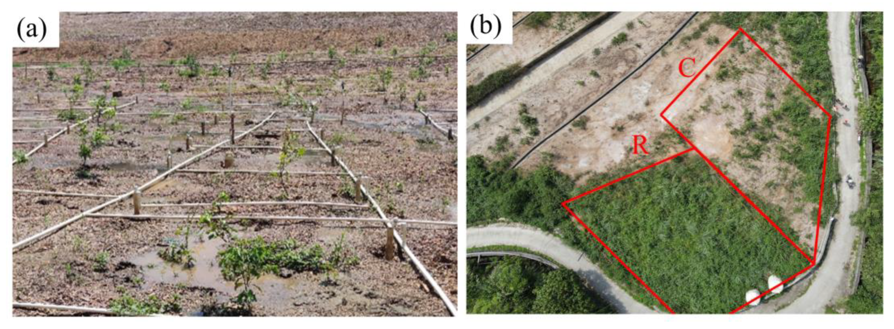 Sustainability 15 05215 g007 Sustainability 15 05215 g007