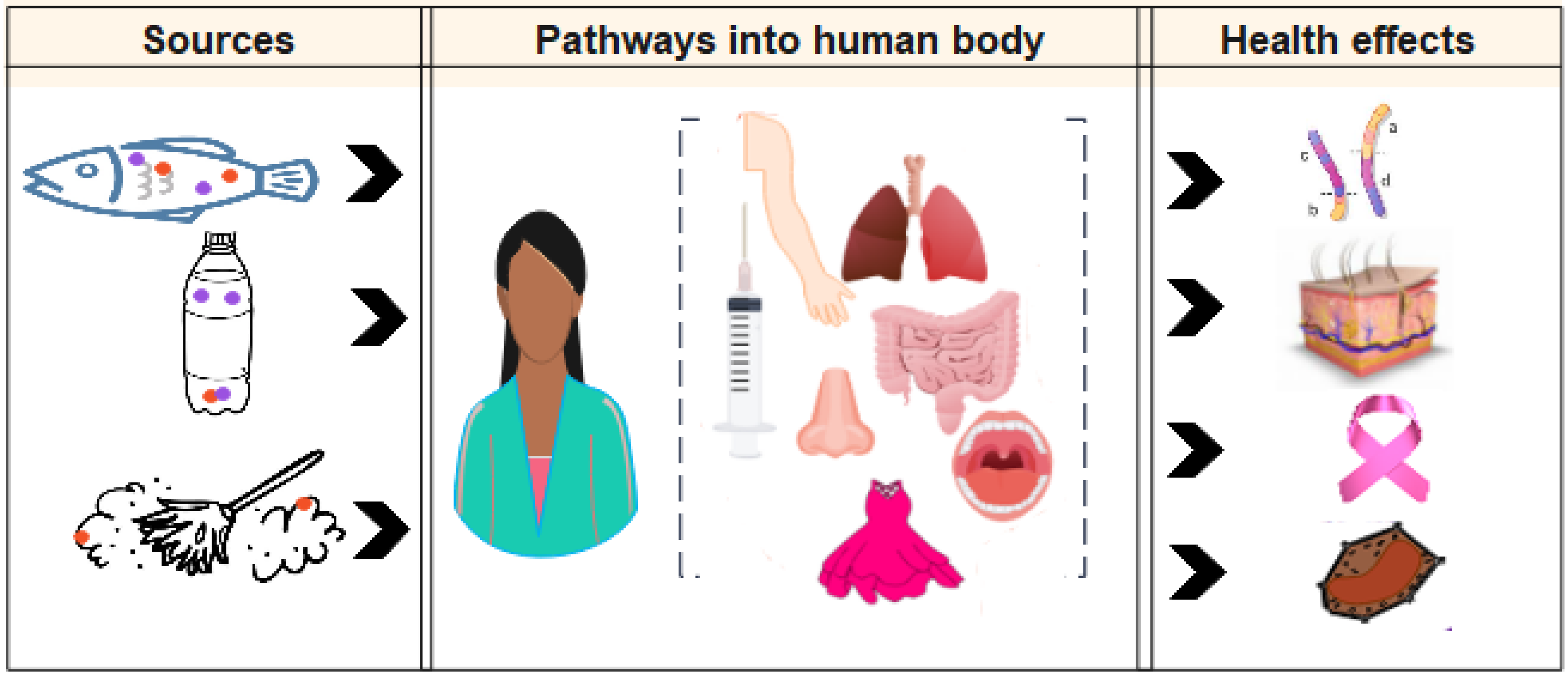 Sustainability 15 05233 g003